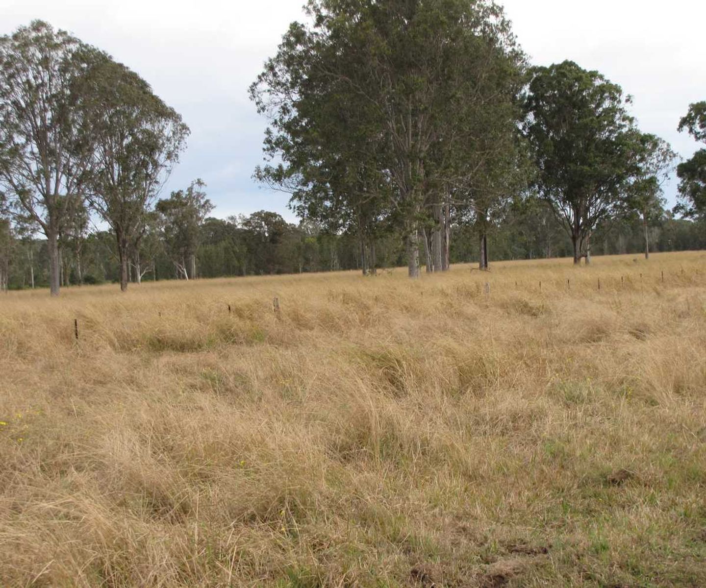 9155 Summerland Way, Leeville, NSW 2470, Leeville - Thumbnail 6