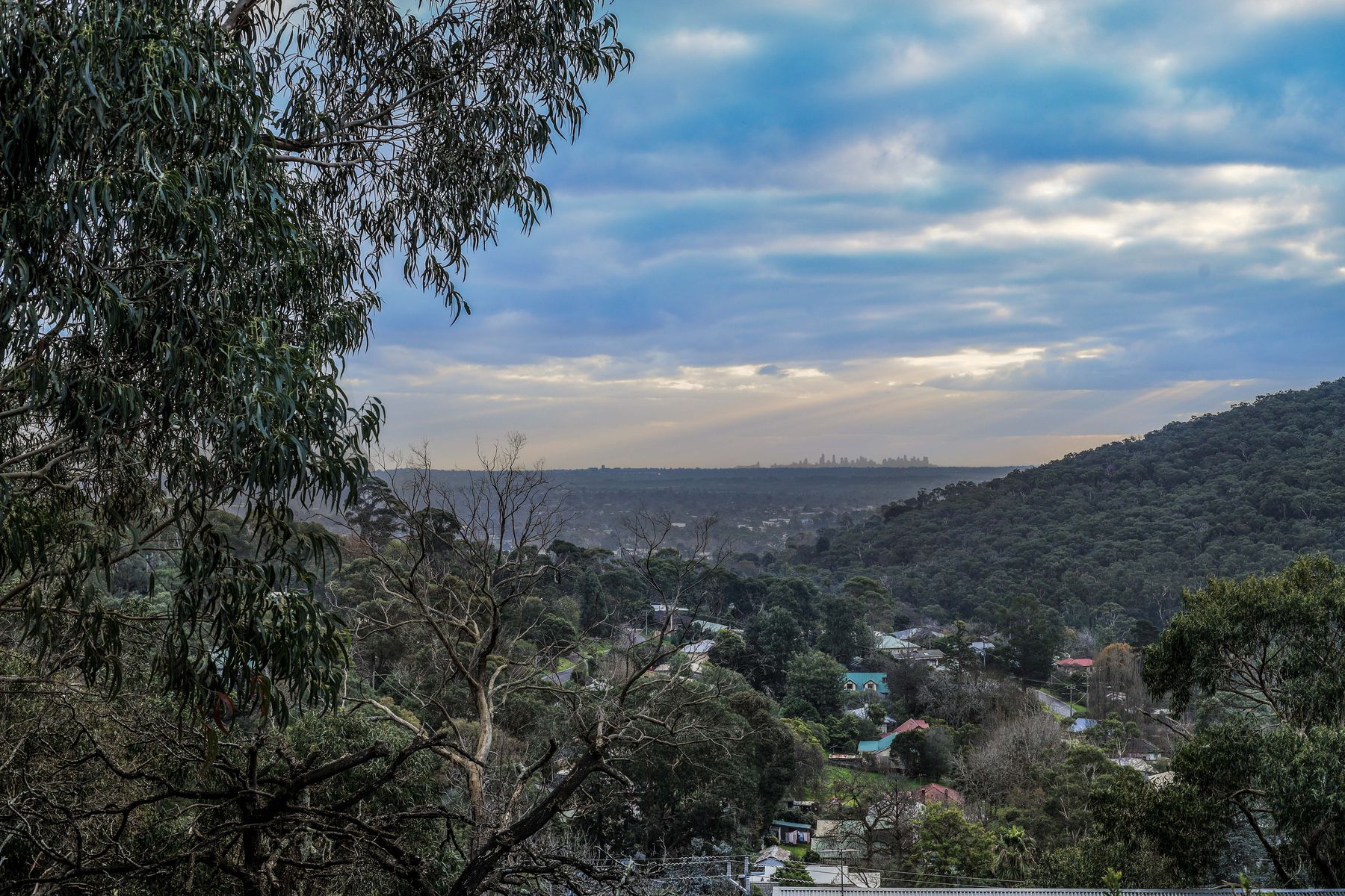 17 Jones Avenue, Upper Ferntree Gully, VIC 3156, Upper Ferntree Gully - Thumbnail 6