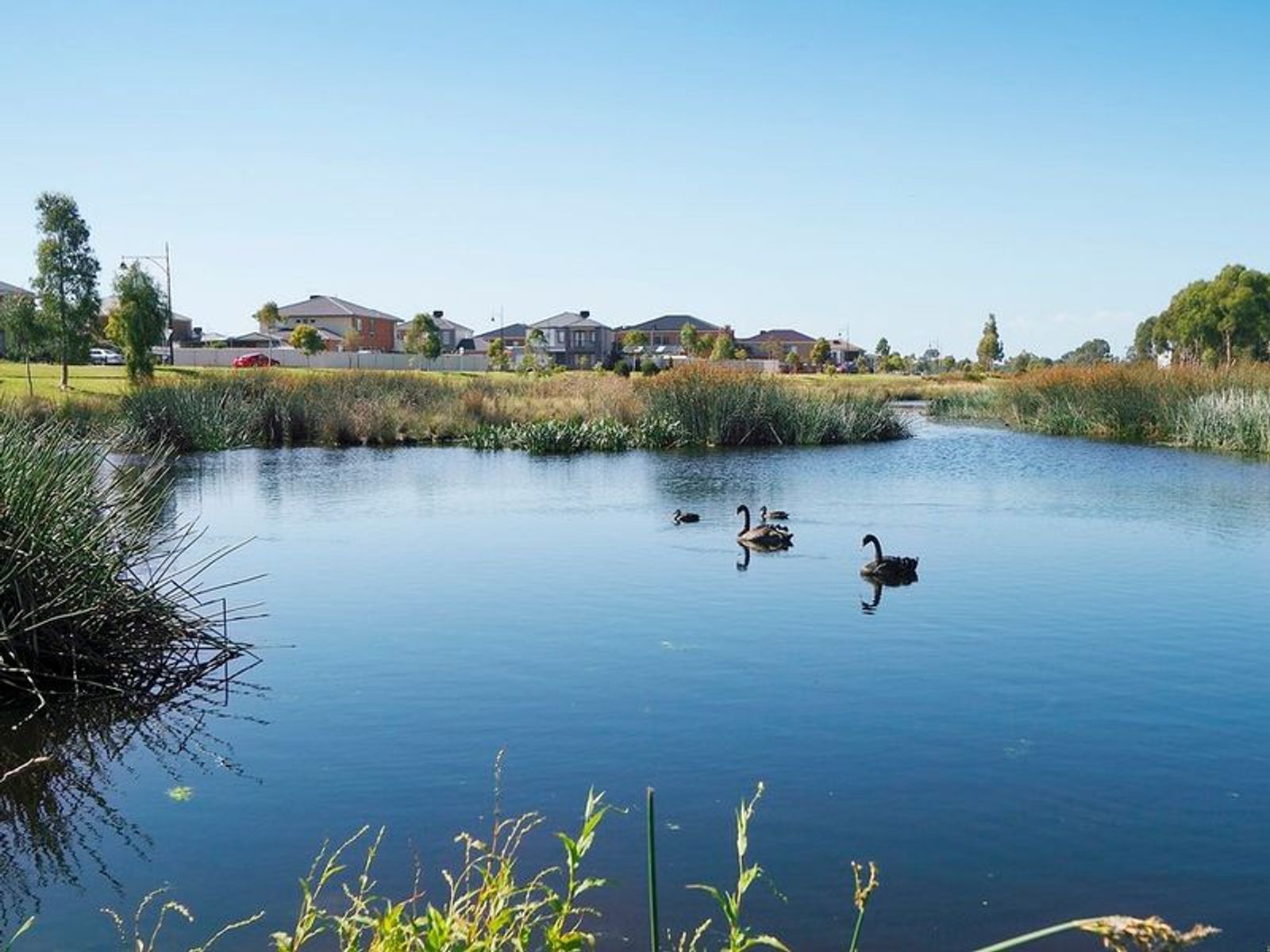 2 Patricia Loop, Keysborough, VIC 3173, Keysborough - Thumbnail 3