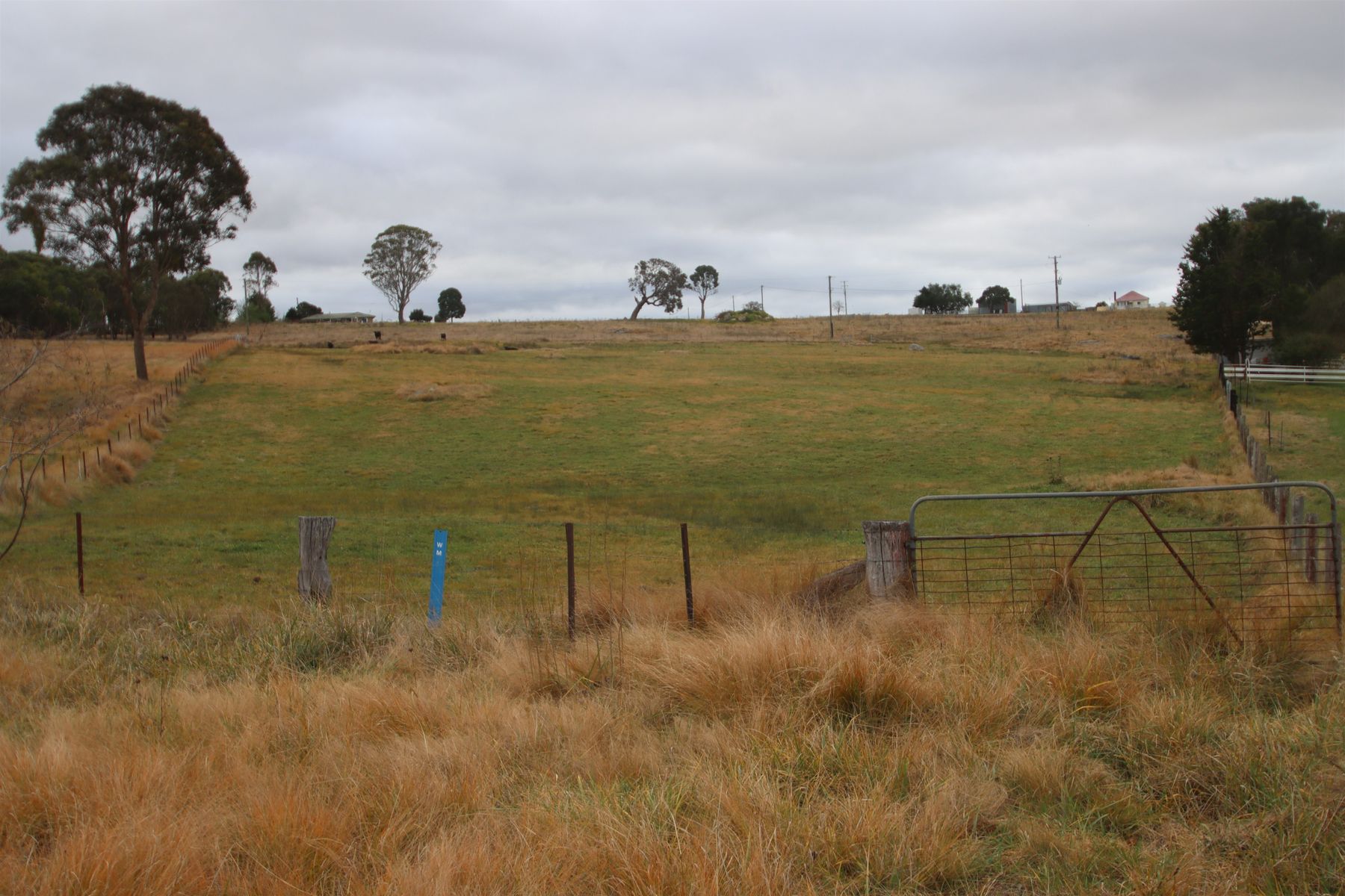 112 Sunnyside Loop Road, Tenterfield NSW 2372, Tenterfield - Thumbnail 4