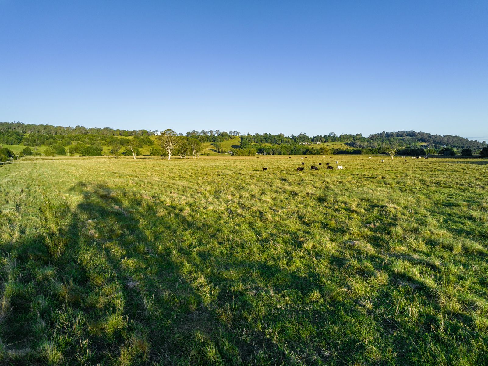 2 Webber Road, Wyrallah - Thumbnail 6