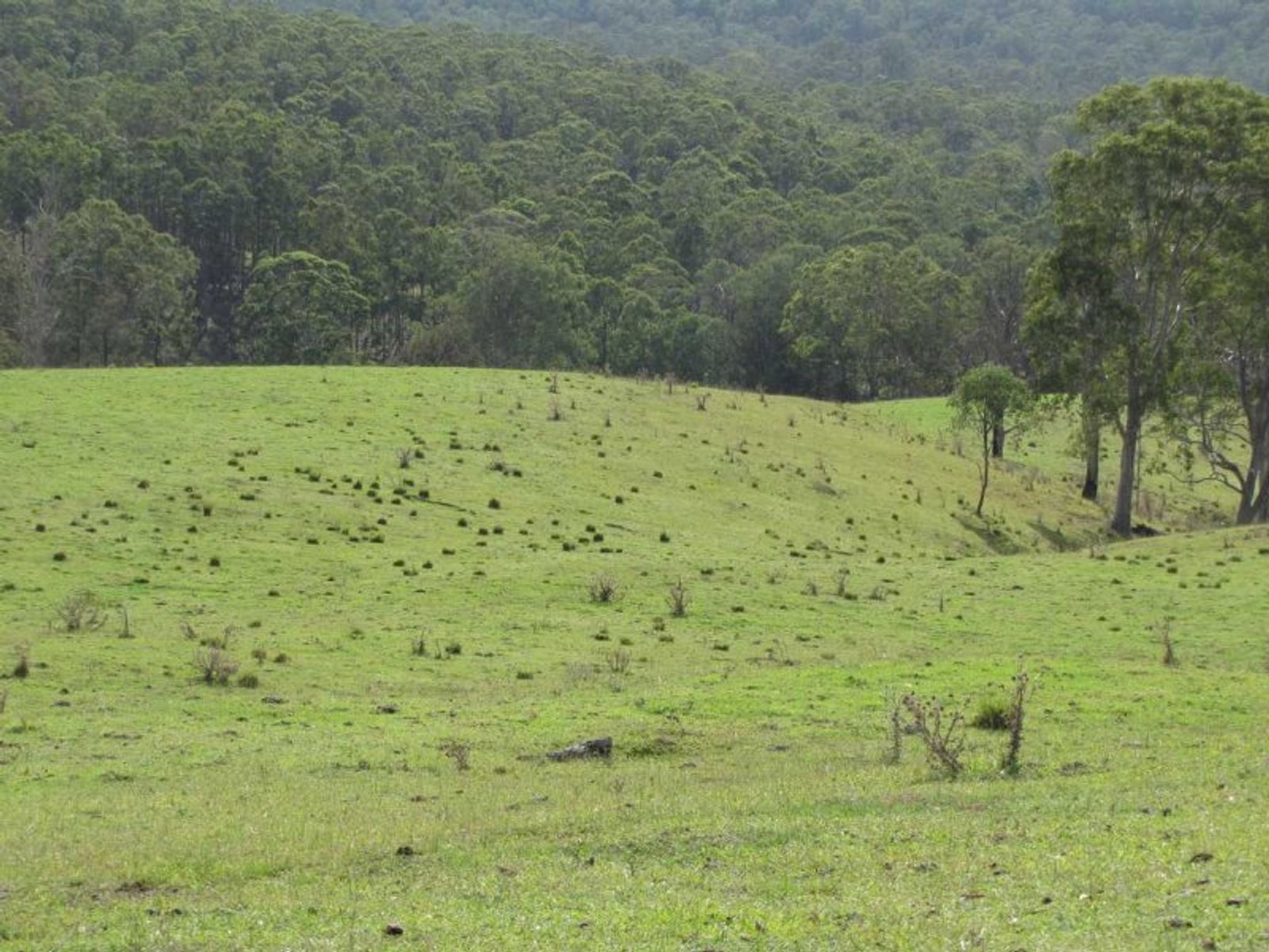 21 Grimstons Road, Theresa Creek - Thumbnail 6