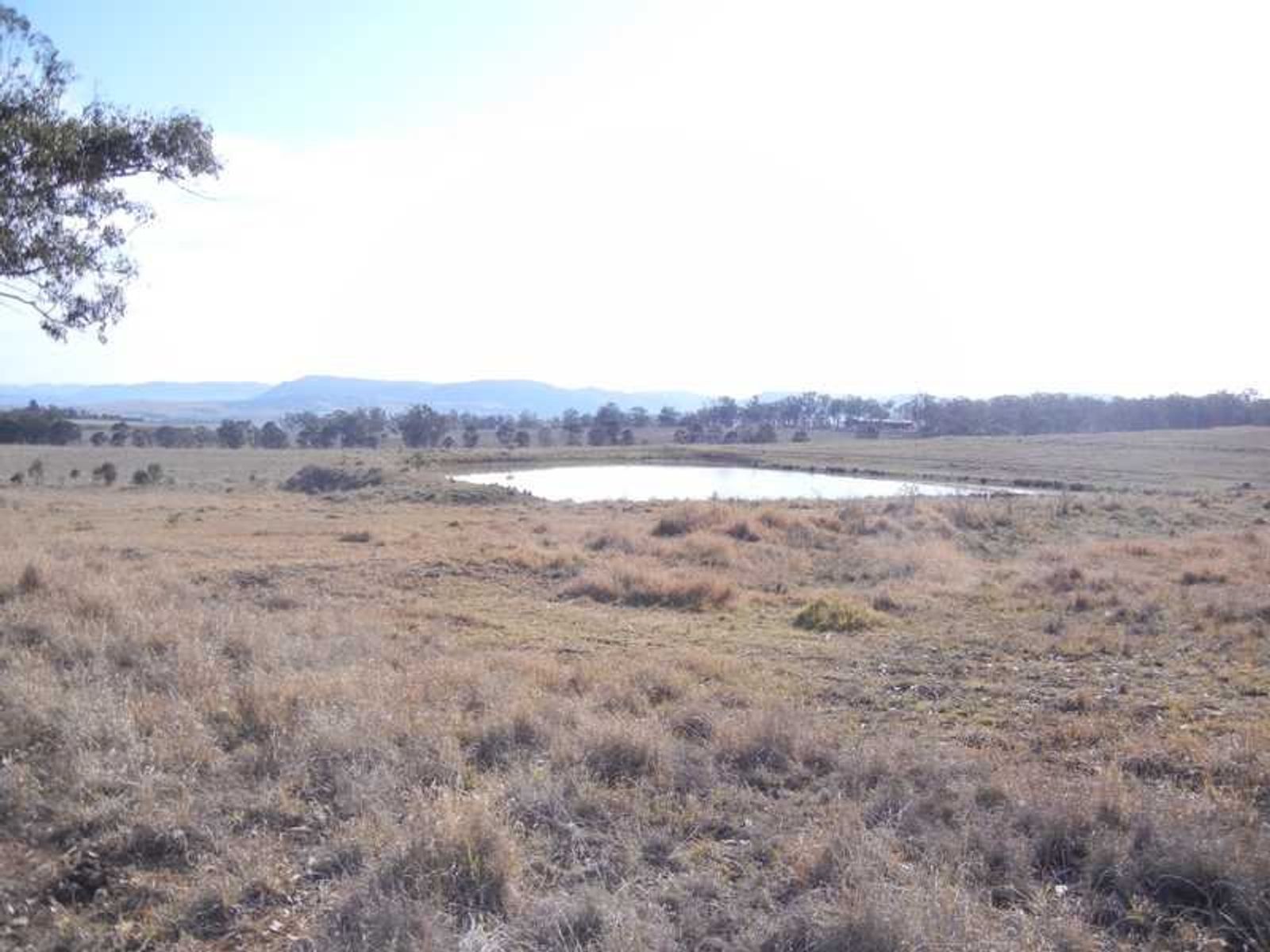 Bourkes Road QLD 4370, Bourkes Road - Thumbnail 4