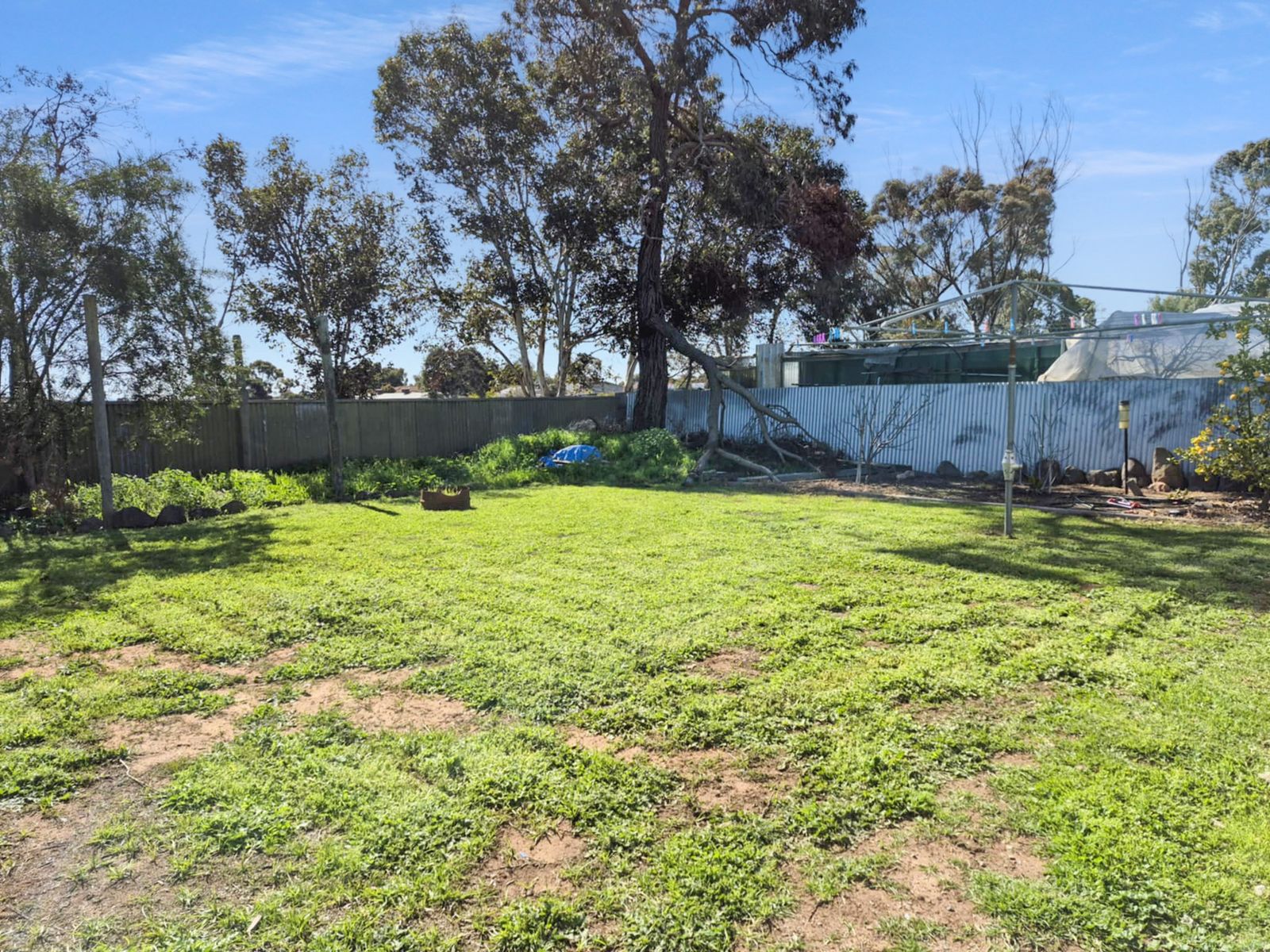 57 Doecke Road, Murray Bridge SA 5253, Murray Bridge - Thumbnail 8