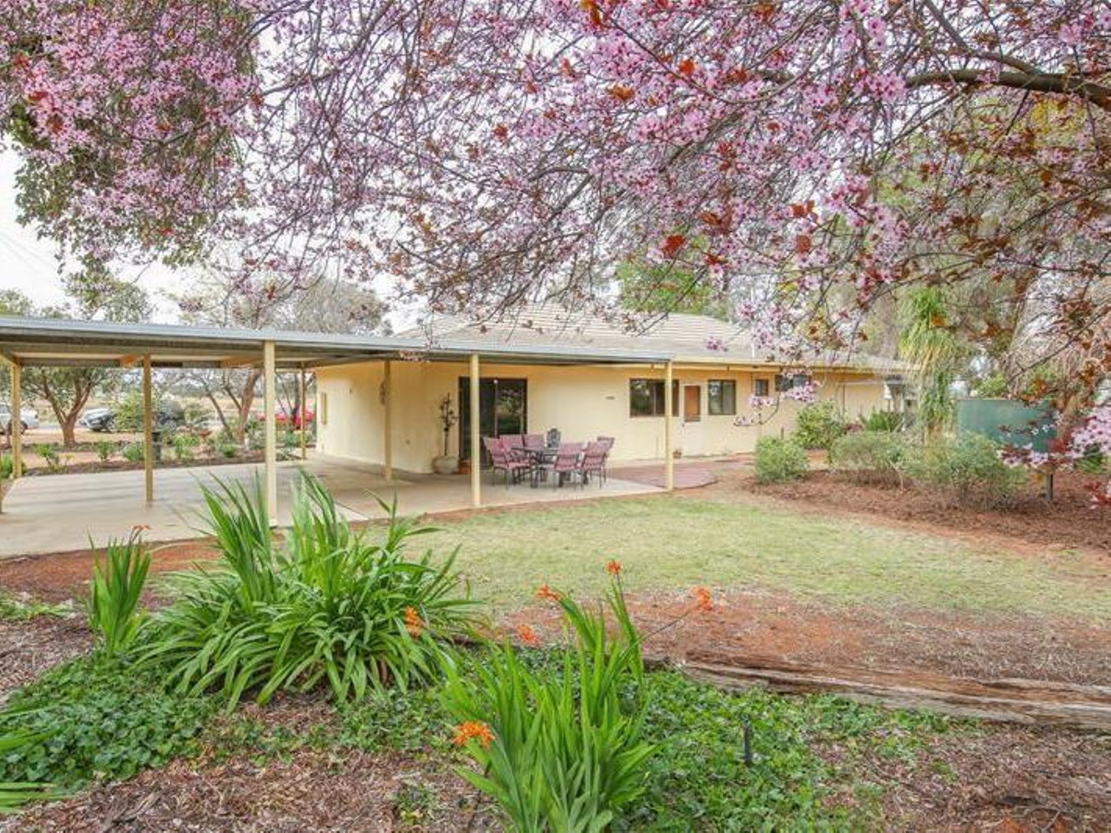 687-695 Cowra Avenue, Mildura - Thumbnail 3