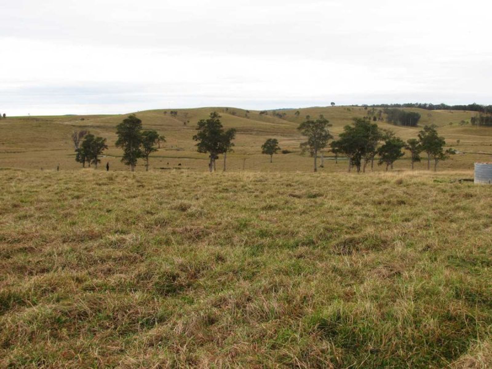 Lot 124, Bonalbo Rd, Mallanganee - Thumbnail 6