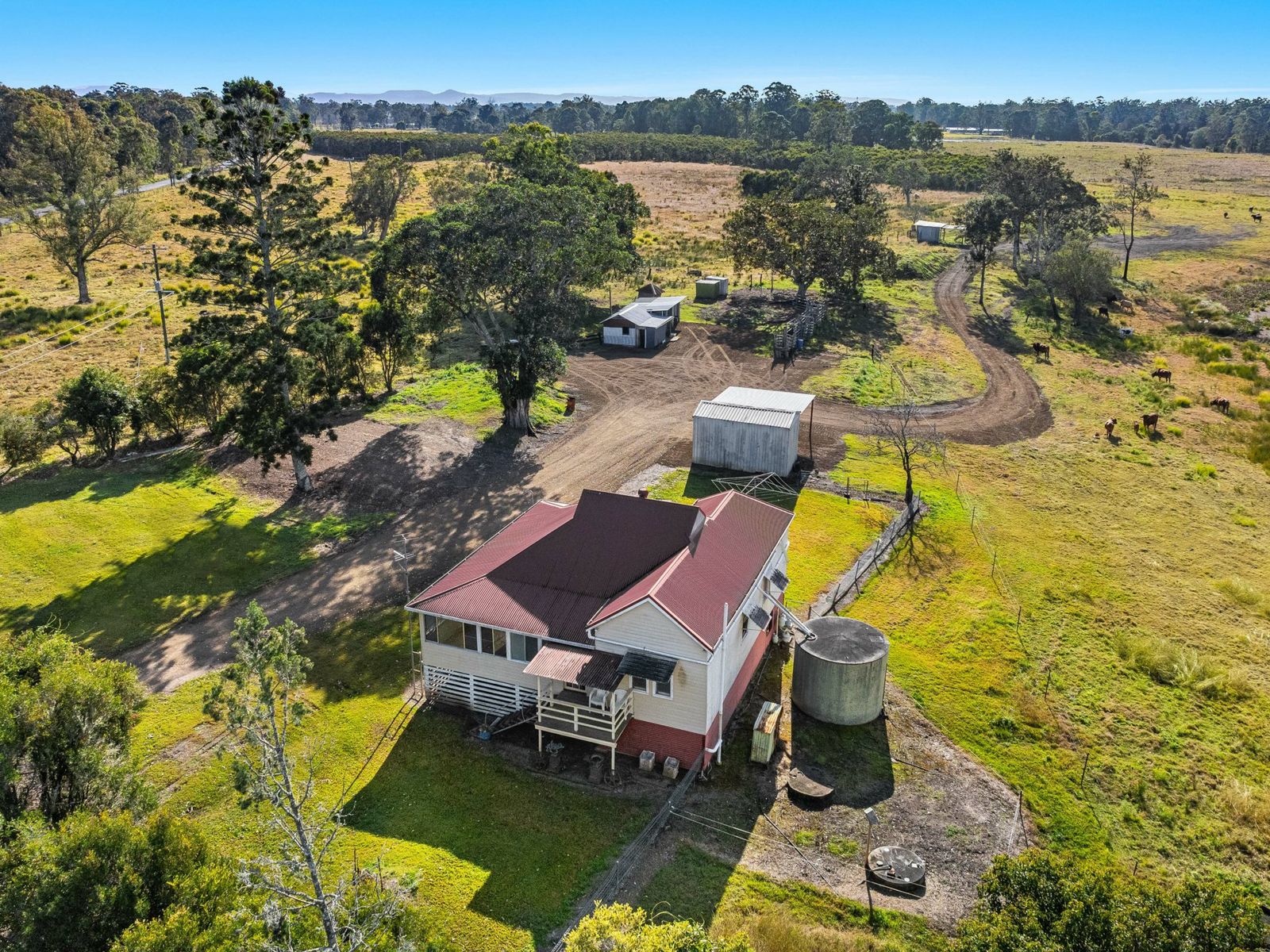605 Ellangowan Road, Yorklea, NSW 2470, Yorklea - Thumbnail 4
