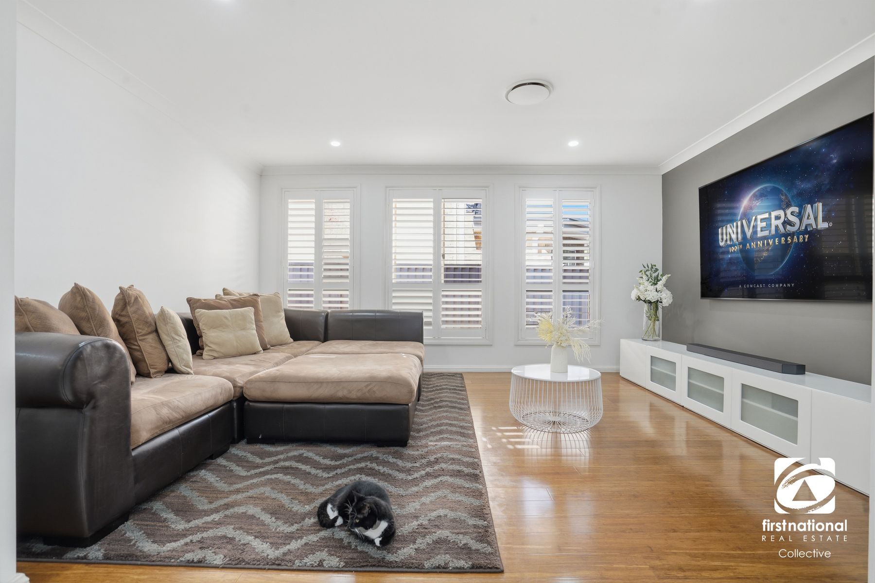 26 Callicoma Street, Mount Annan NSW 2567, Mount Annan - Thumbnail 5
