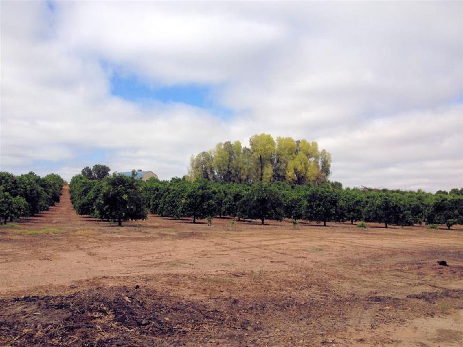 76 Hewett Road, Colignan - Thumbnail 6