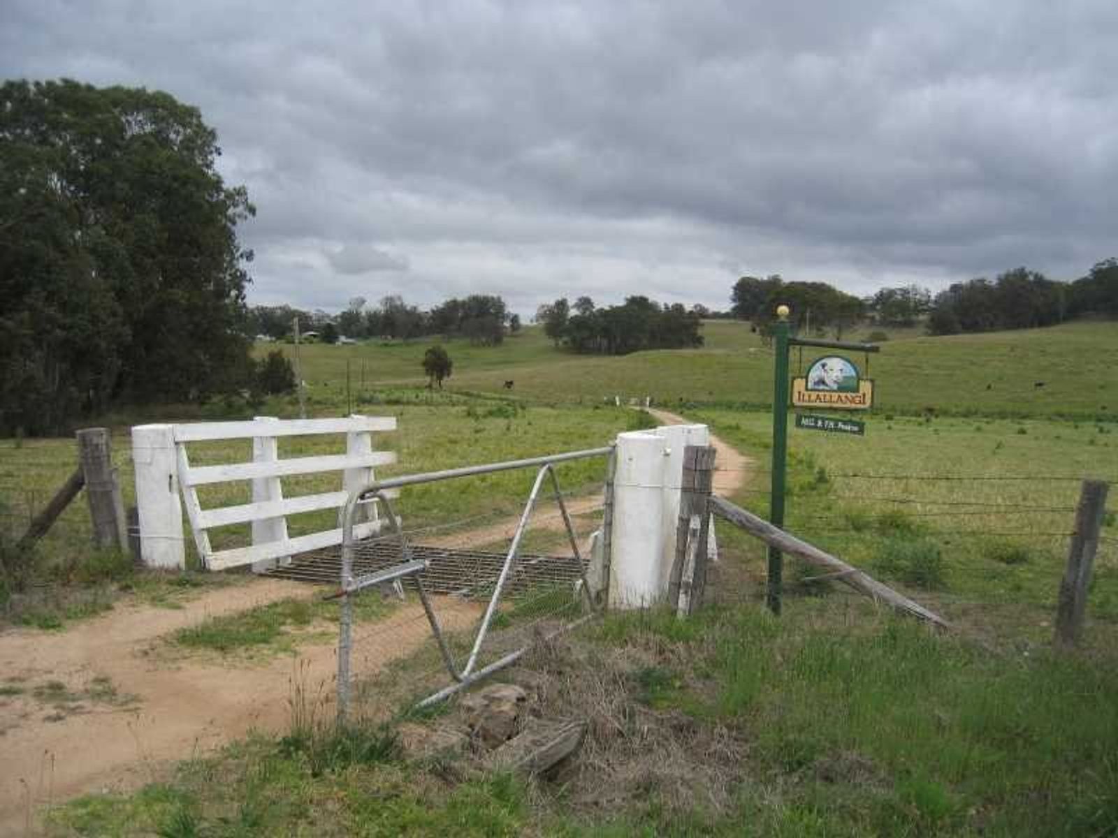Legume NSW 2476, Legume - Thumbnail 6