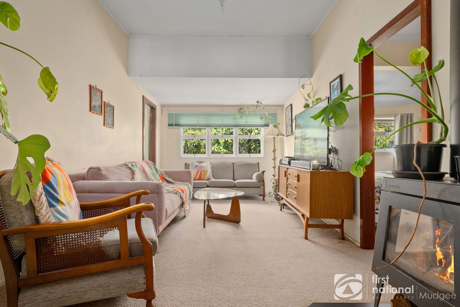 10 Garner Street, Lue NSW 2850, Lue - Thumbnail 3