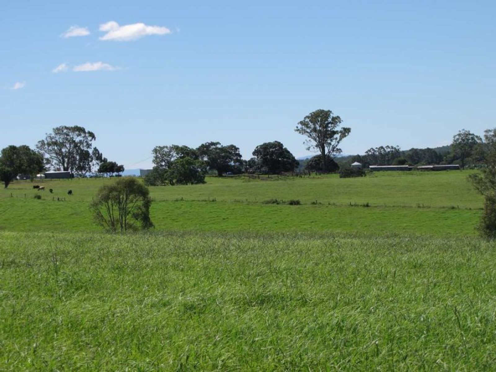 135 Lees Lane, Hogarth Range - Thumbnail 4