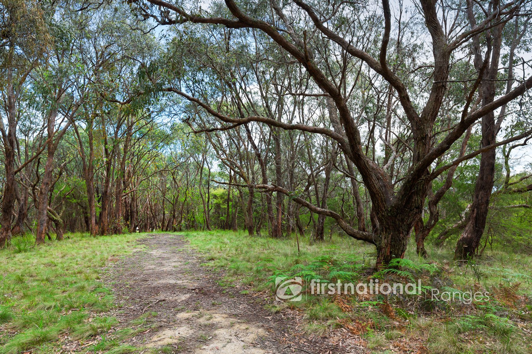 50 Bedford Road, Cockatoo VIC 3781, Cockatoo - Thumbnail 5