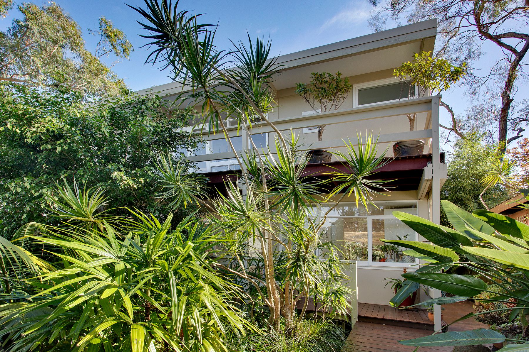 10 Doulton Avenue, Beacon Hill, NSW 2100, Beacon Hill - Thumbnail 7