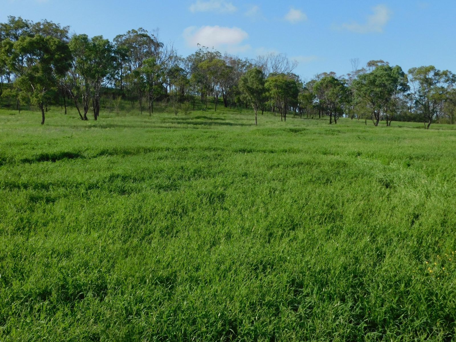 486 Womina, Willowvale - Thumbnail 8
