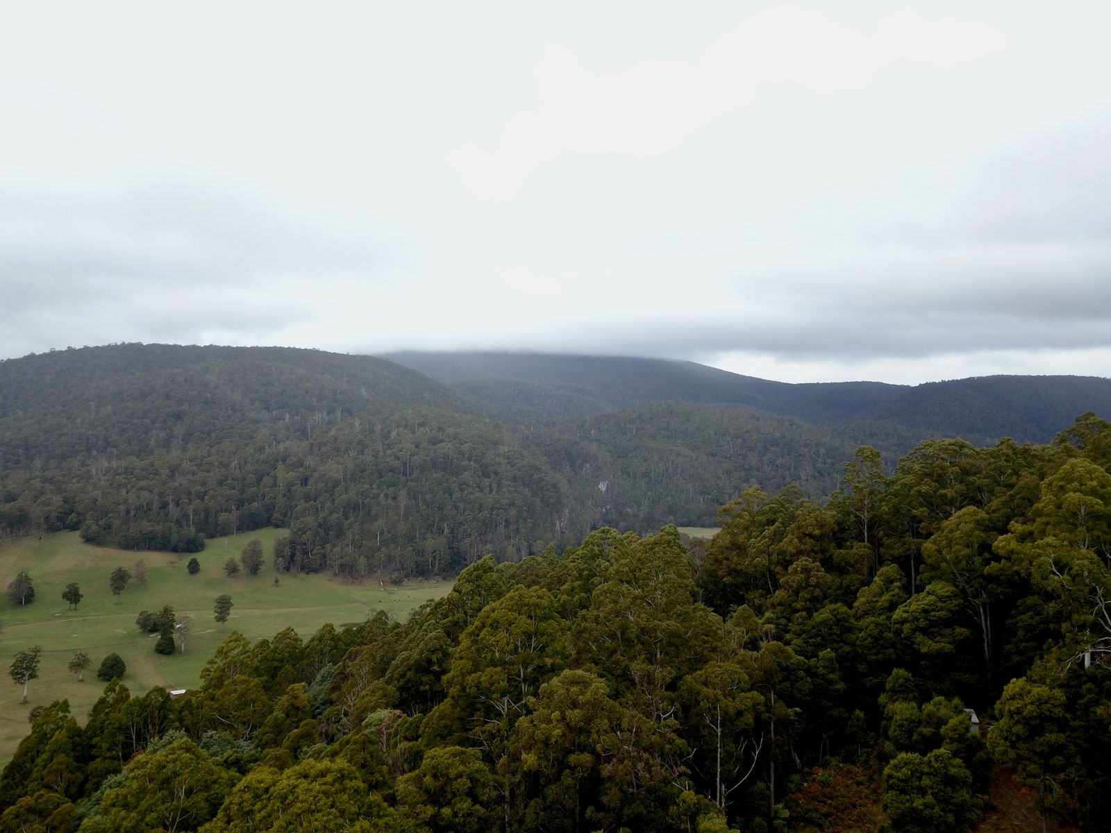 400 Olivers Road, Liena - Image 1
