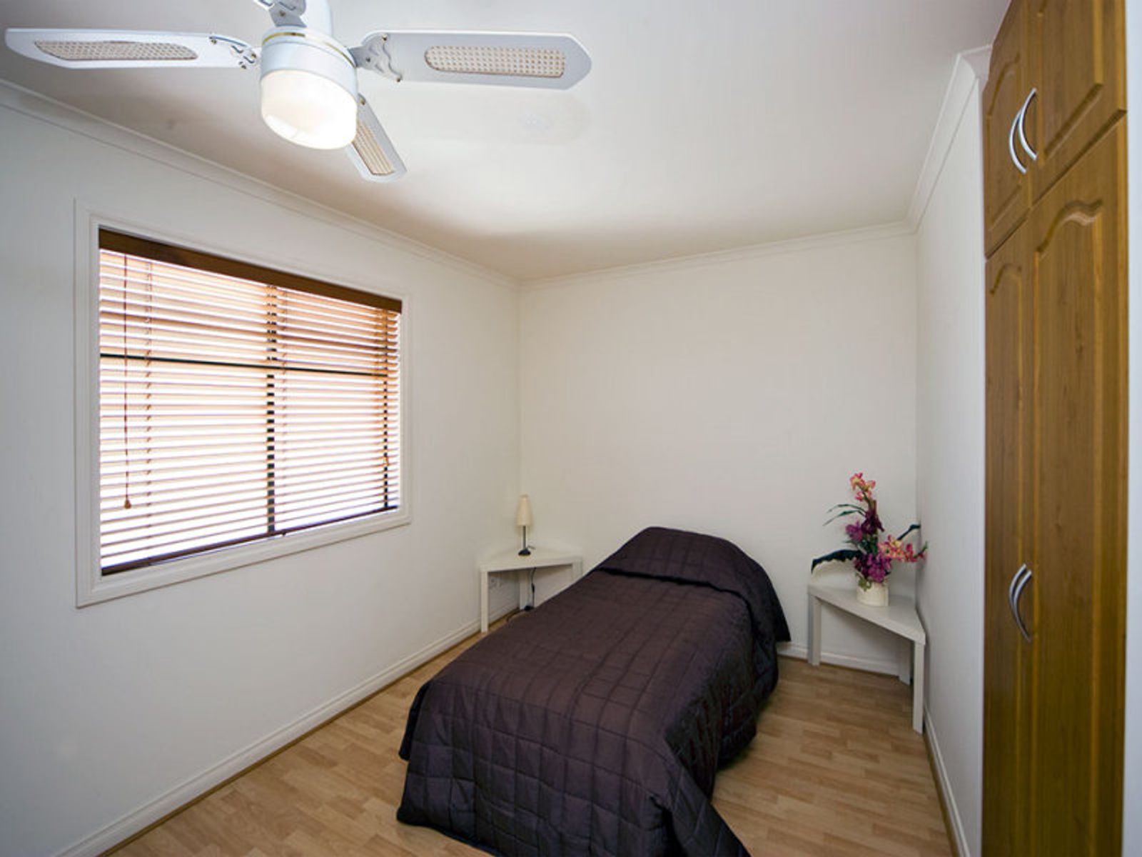 32 Elder Circuit, Mawson Lakes, SA 5095, Mawson Lakes - Thumbnail 3
