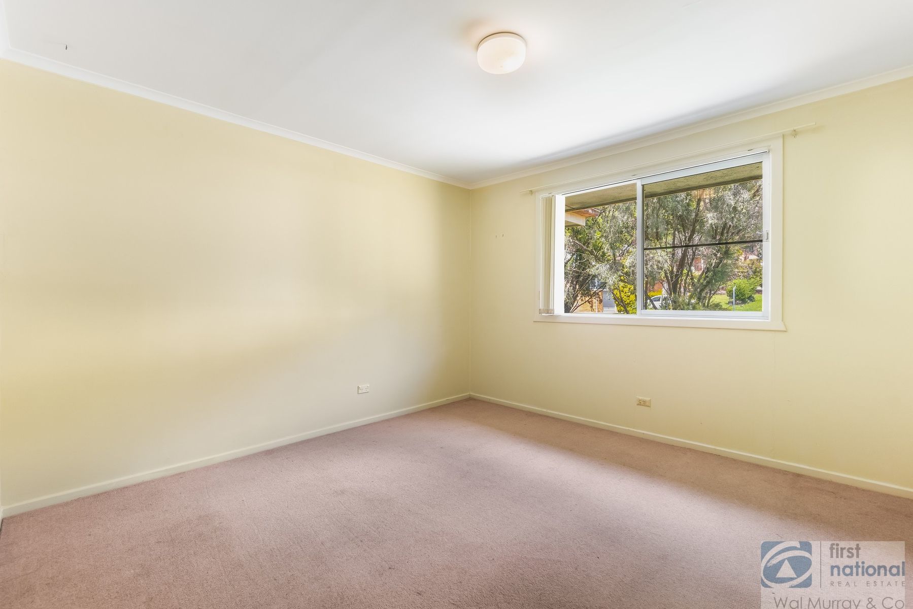 11 Conte Street, East Lismore, NSW 2480, East Lismore - Thumbnail 6