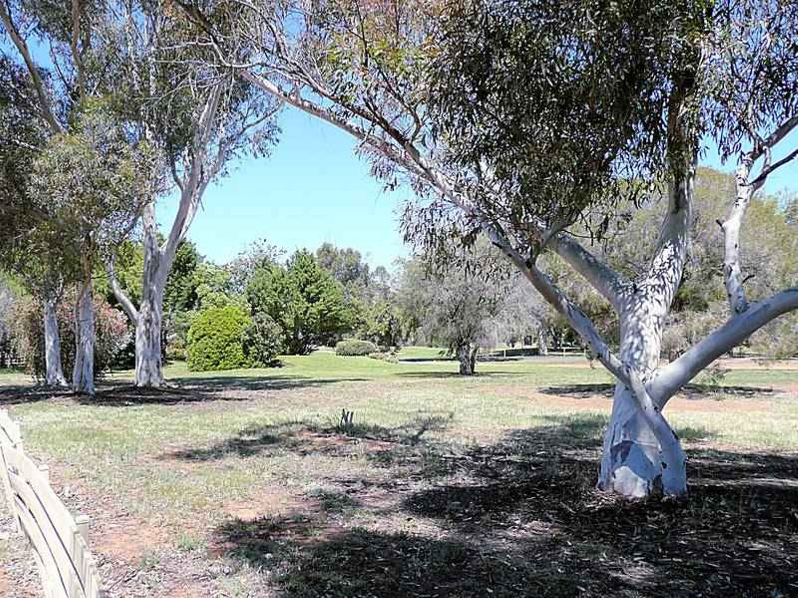 296 Twelfth Street, Mildura - Thumbnail 4