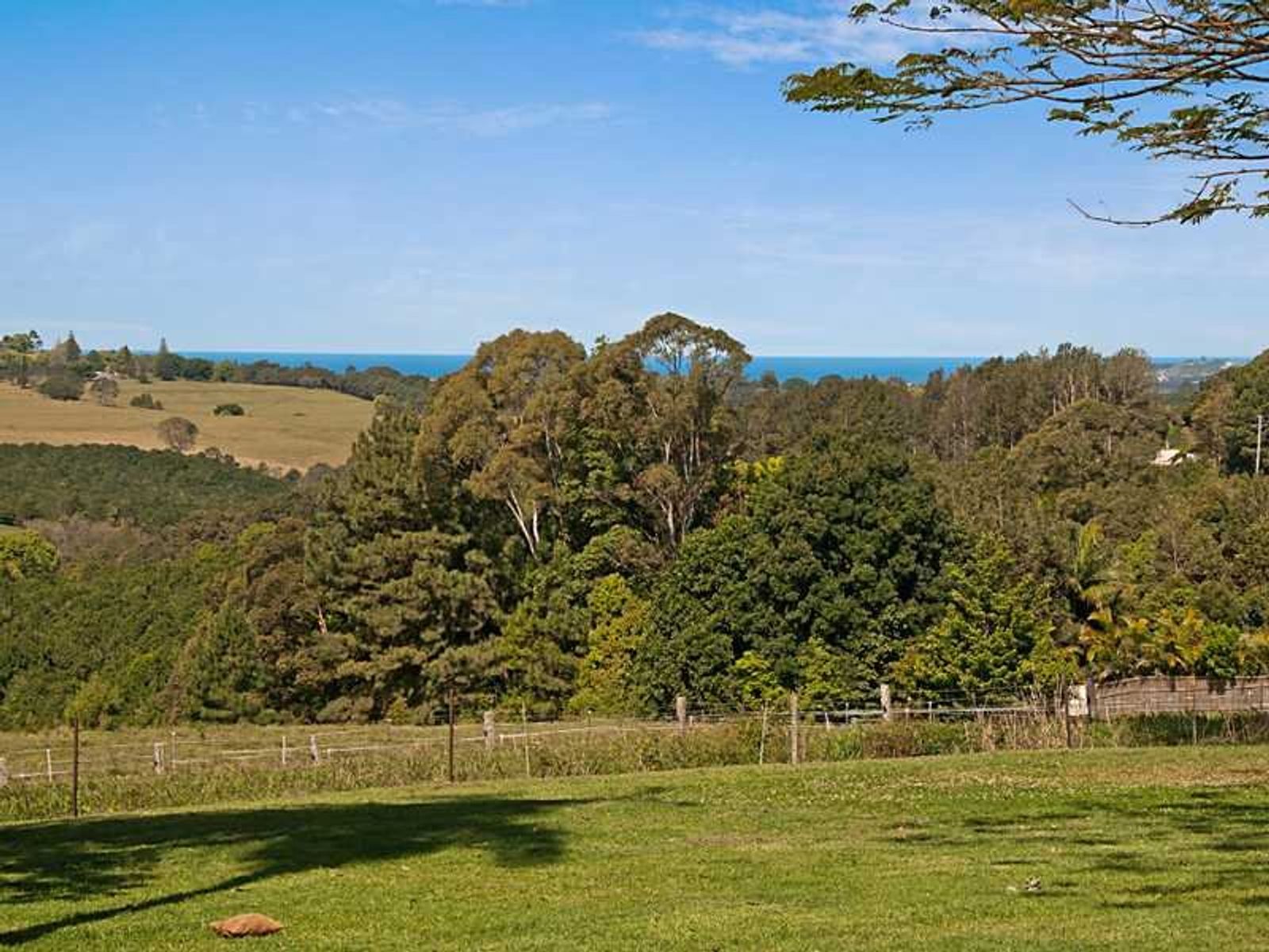 792 Friday Hut Road, Brooklet - Thumbnail 5