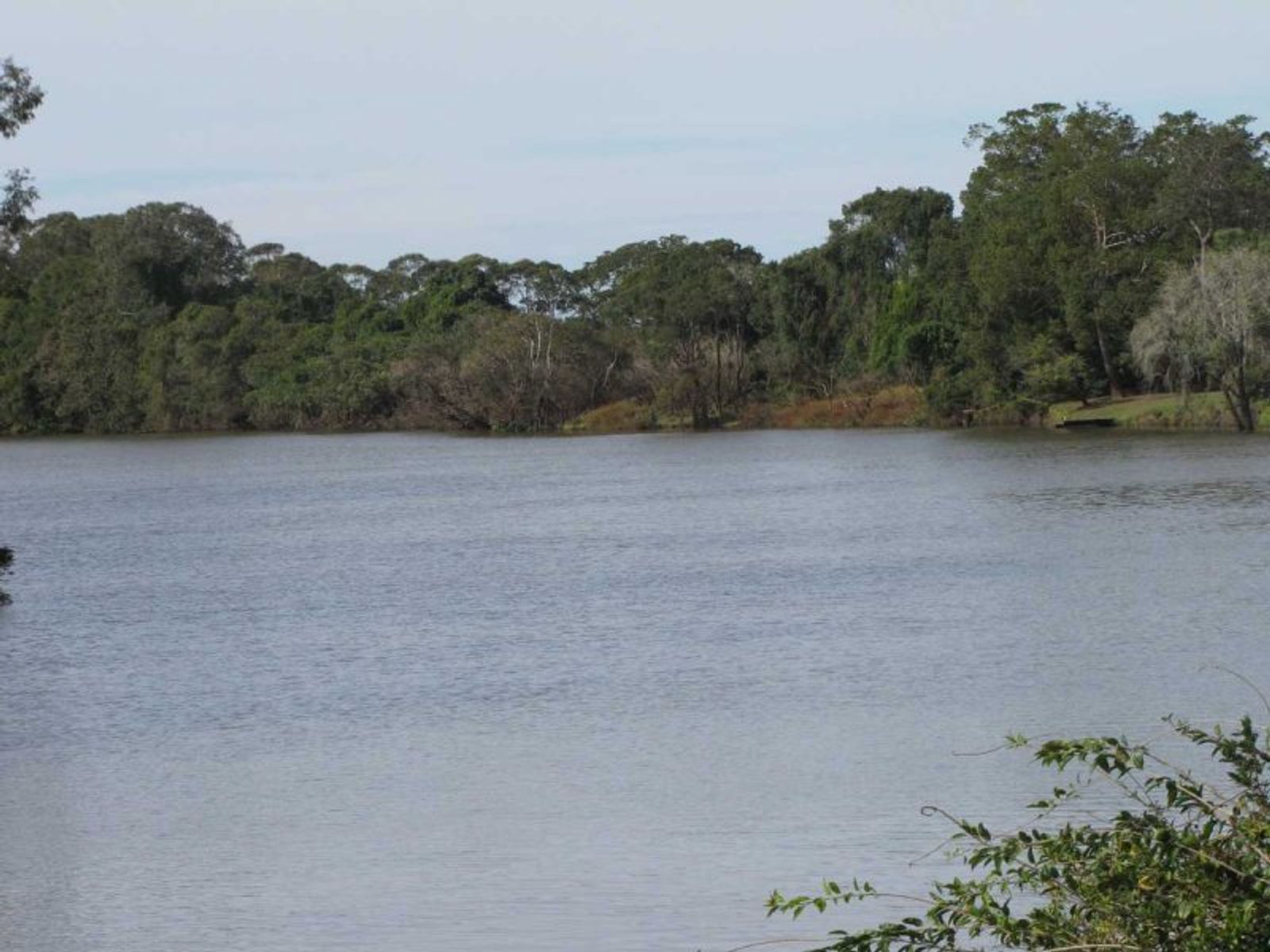 42-50 Ferry Rd, East Coraki - Thumbnail 4