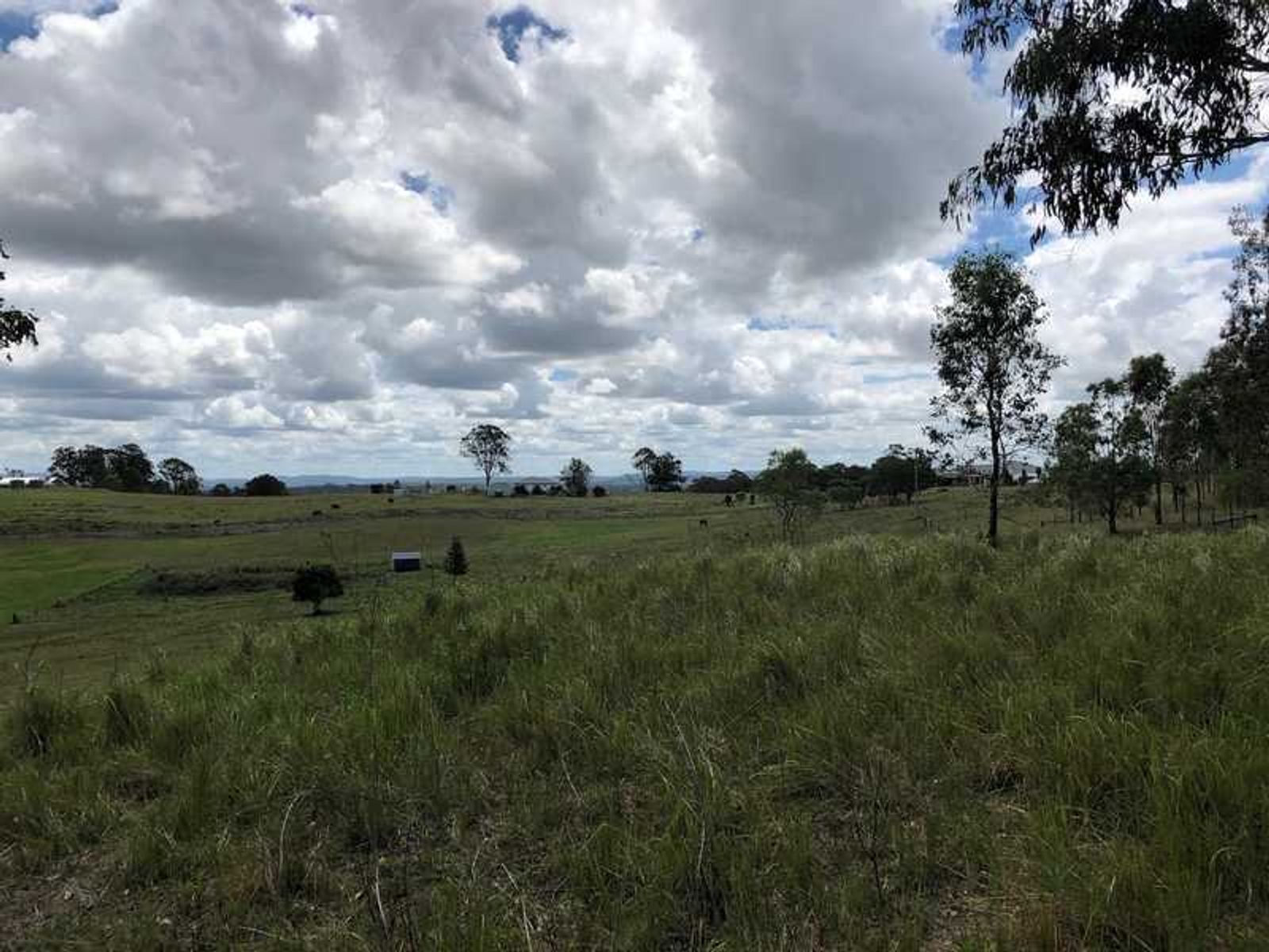 Lot 2/800 Lot 2/ 800 Ellangowan Road, Yorklea - Thumbnail 6