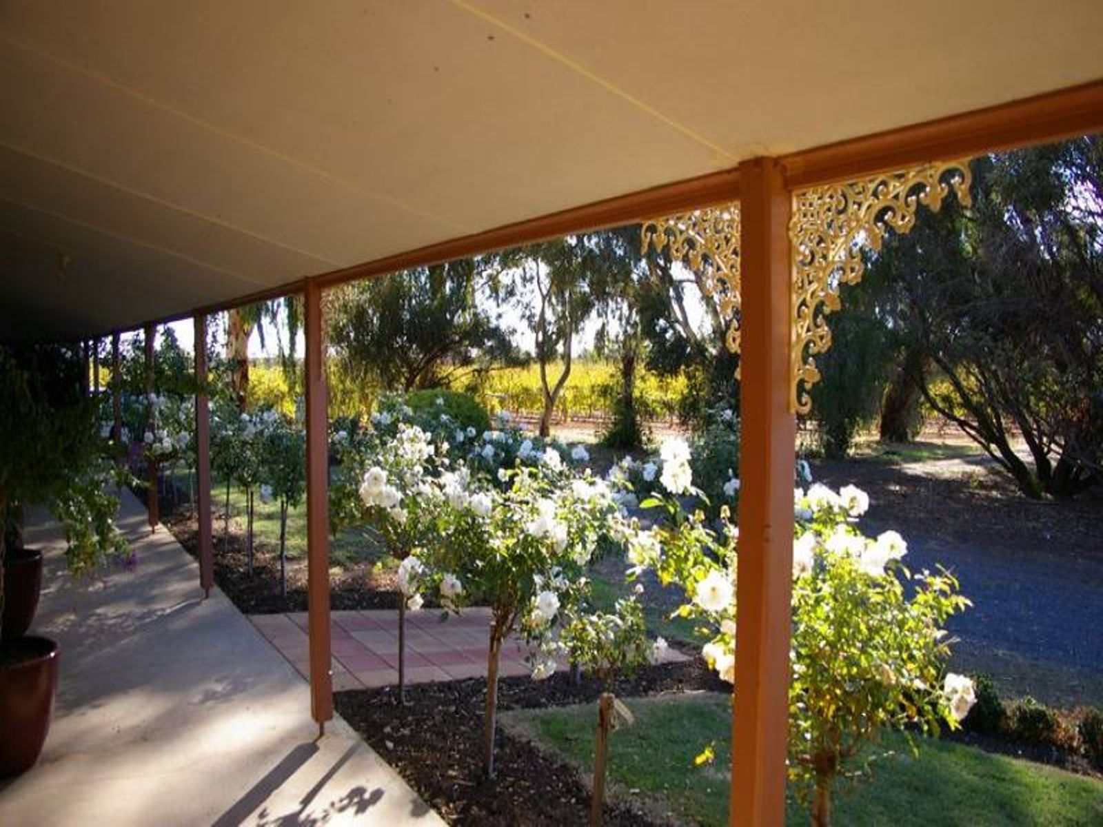 261 Red Cliffs Meringur Road, Red Cliffs - Thumbnail 6