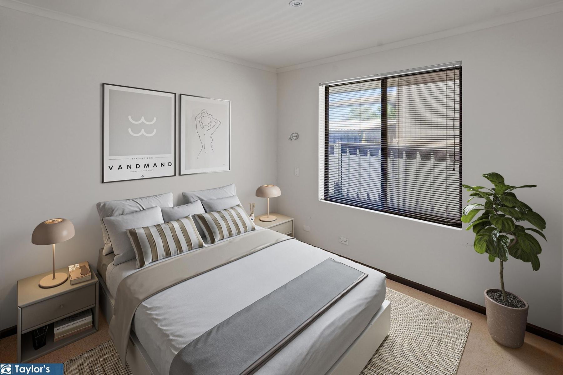 3 Swallow Avenue, Modbury Heights, SA 5092, Modbury Heights - Thumbnail 4
