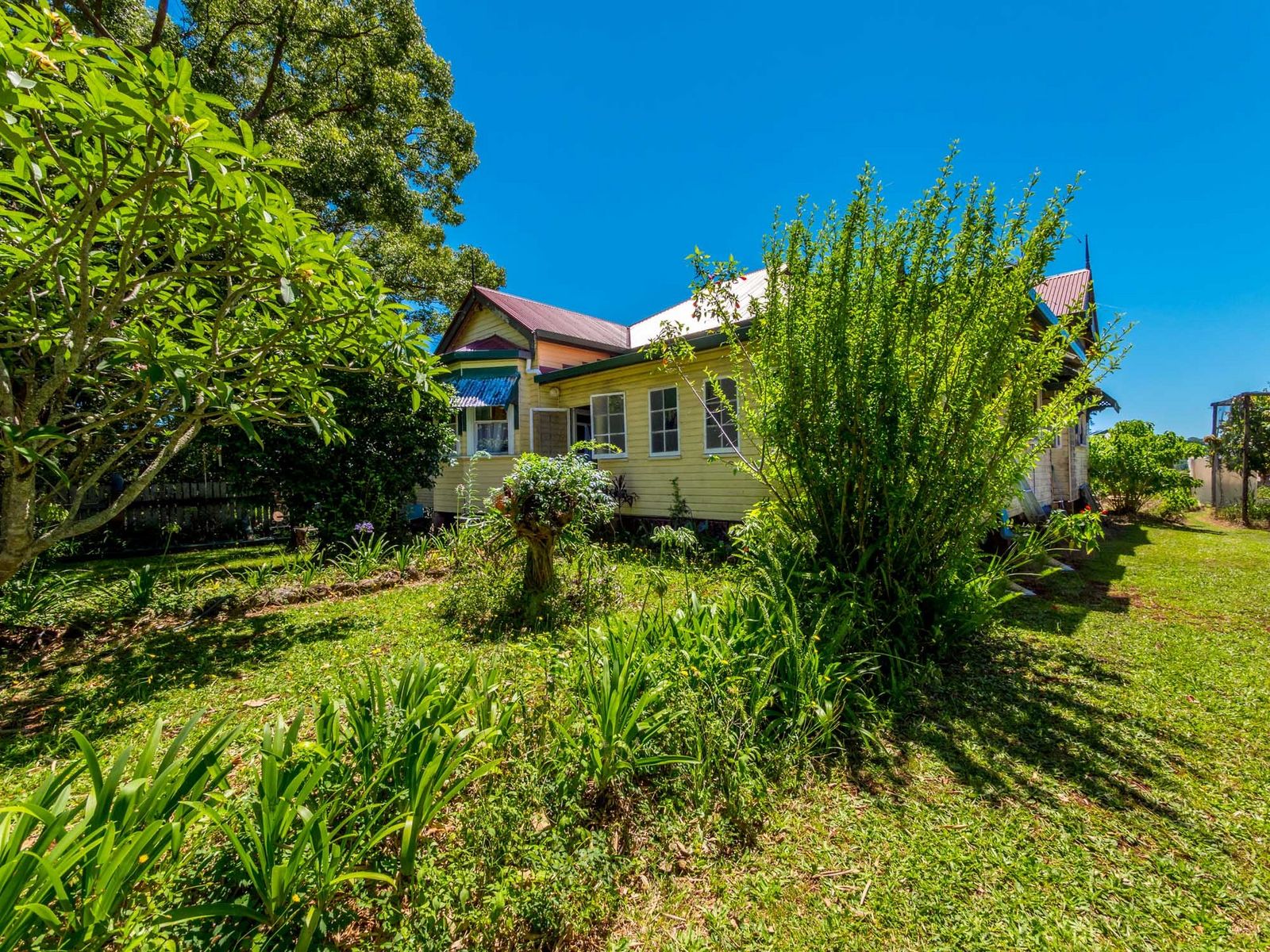498 Binna Burra Rd, Federal - Thumbnail 4