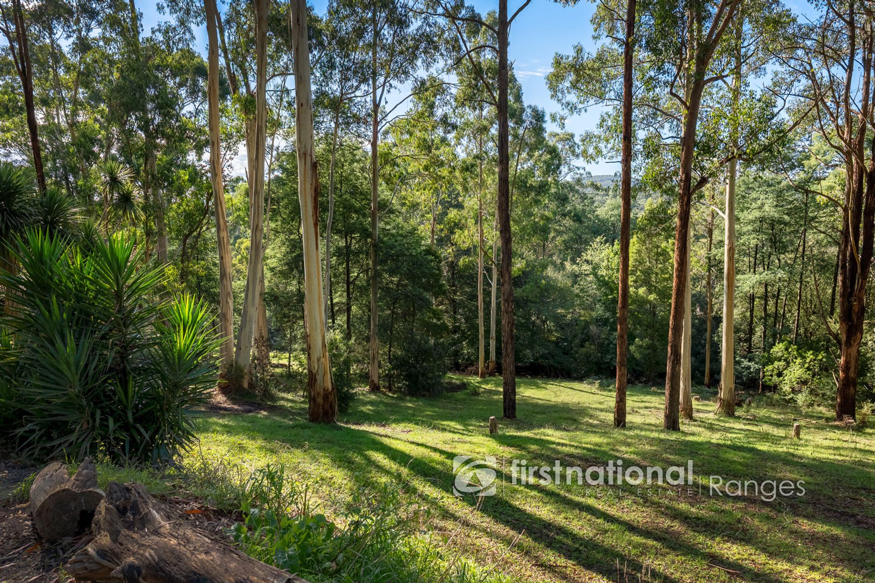 140 Beenak Road, Gembrook VIC 3783, Gembrook - Thumbnail 2