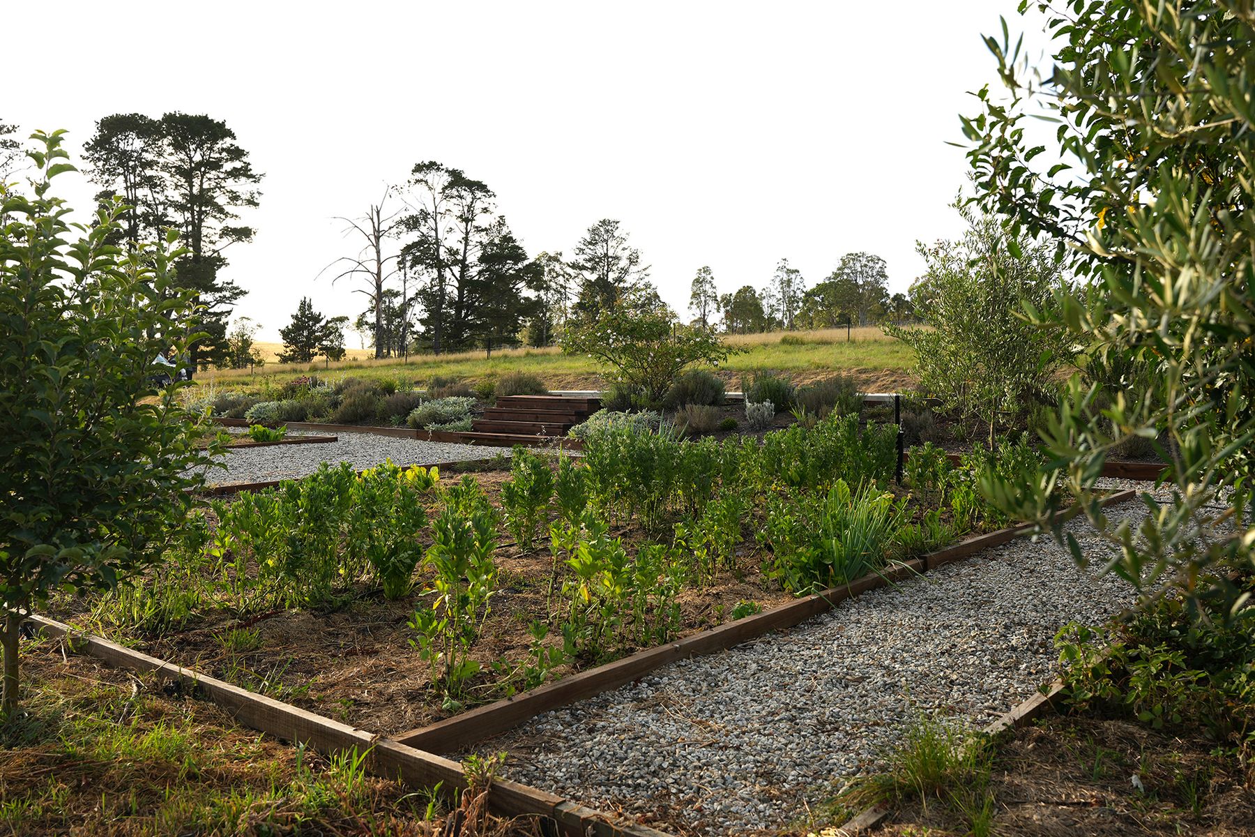 171 Millers Lane, Tenterfield NSW 2372, Tenterfield - Thumbnail 5