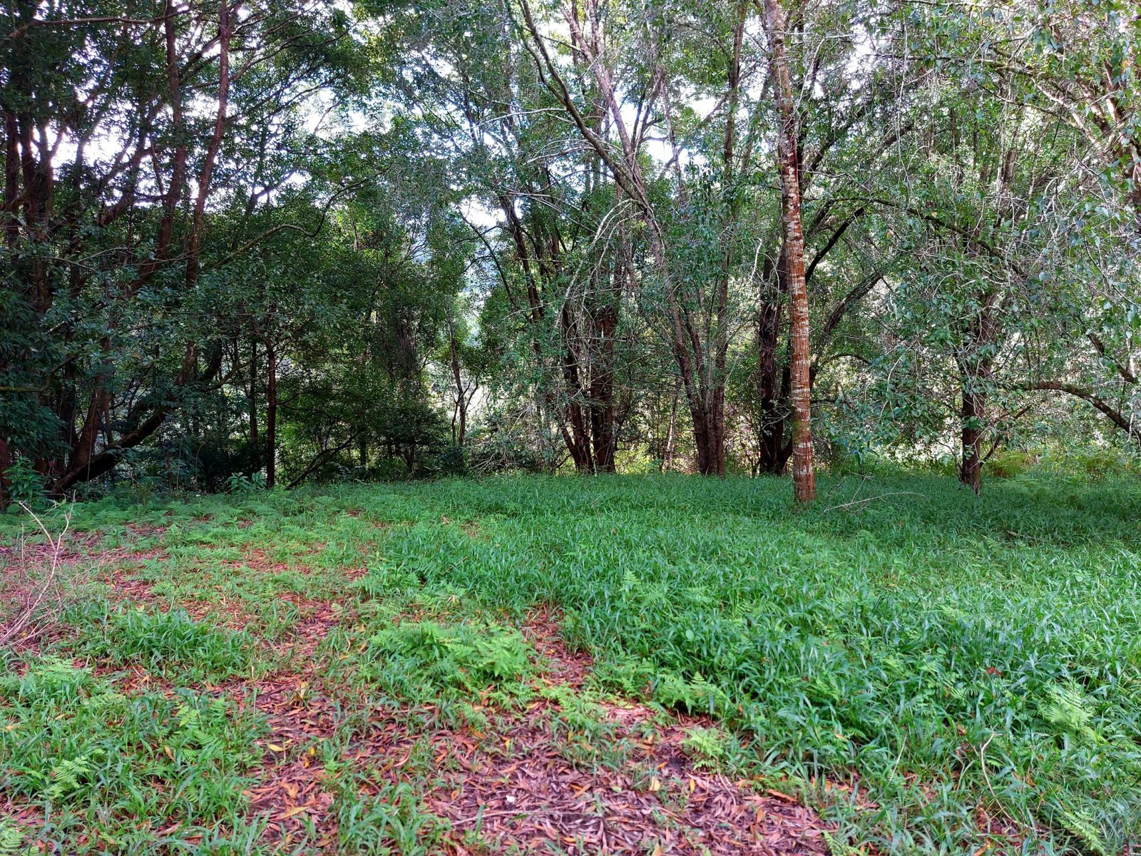 2/114 2/114  Maso Rd, Repentance Creek - Thumbnail 6
