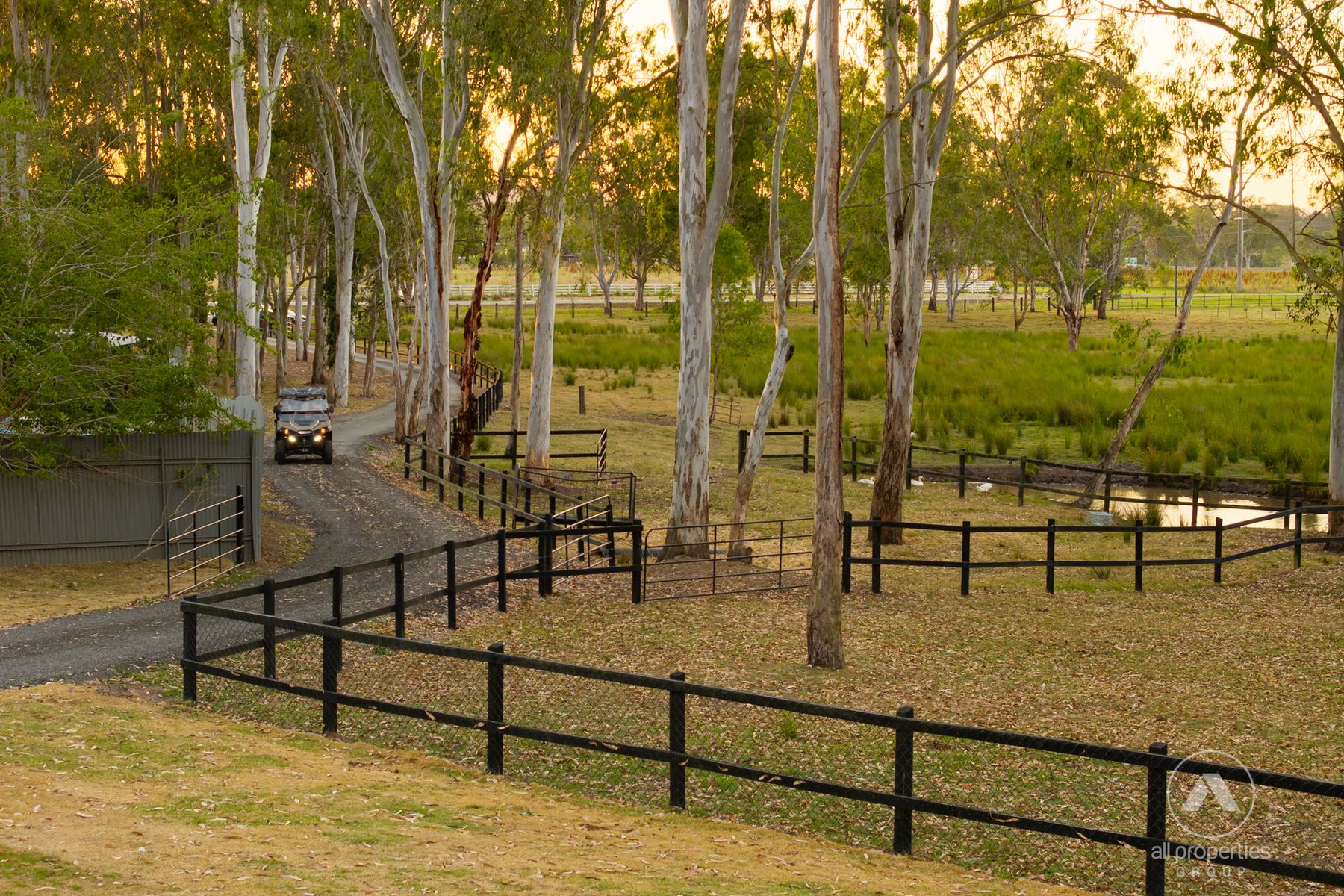 888 Mundoolun Connection Road, Tamborine QLD 4270, Tamborine - Thumbnail 5