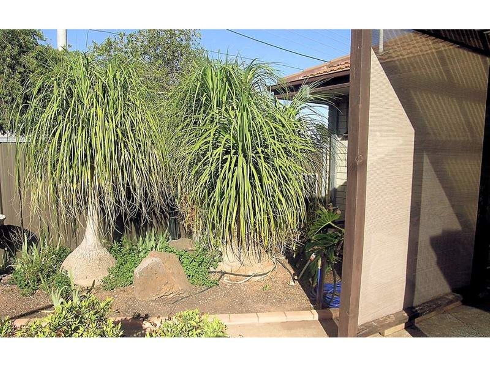 1/250 Tenth Street, Mildura - Thumbnail 7
