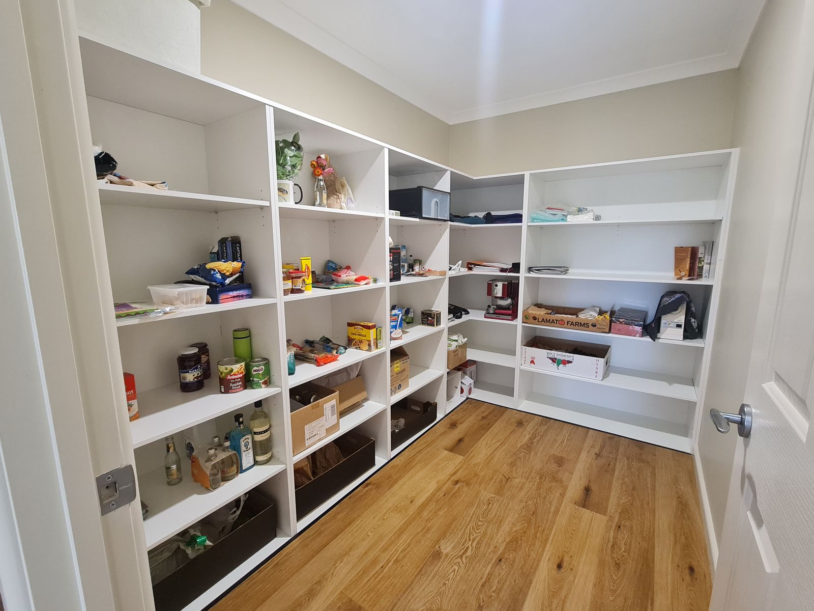 4 Smith Street, Deloraine TAS 7304, Deloraine - Thumbnail 6