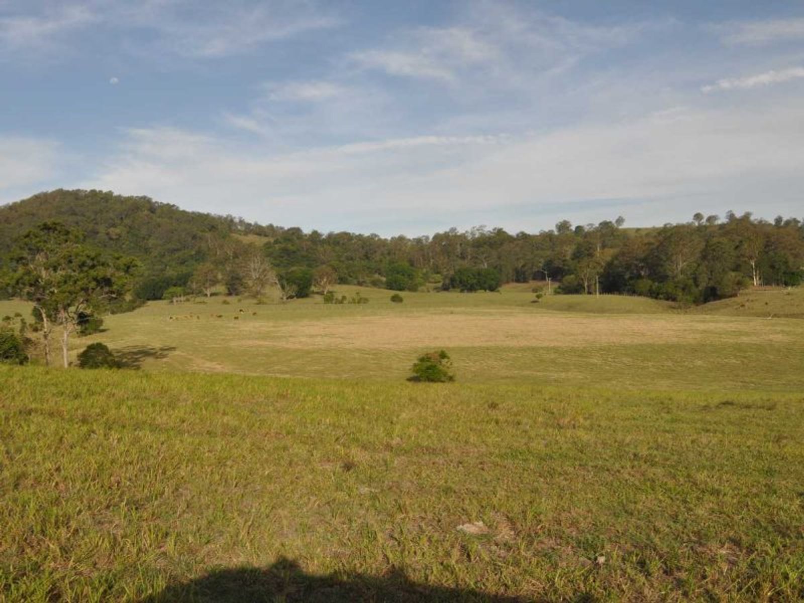 Vidlers Road NSW 2470, Vidlers Road - Thumbnail 4