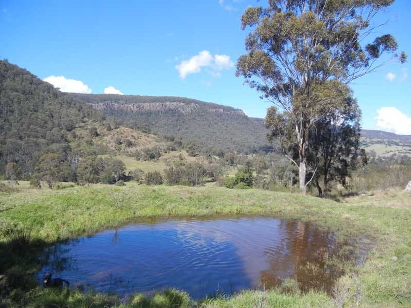 Condamine River Road QLD 4373, Condamine River Road - Thumbnail 7