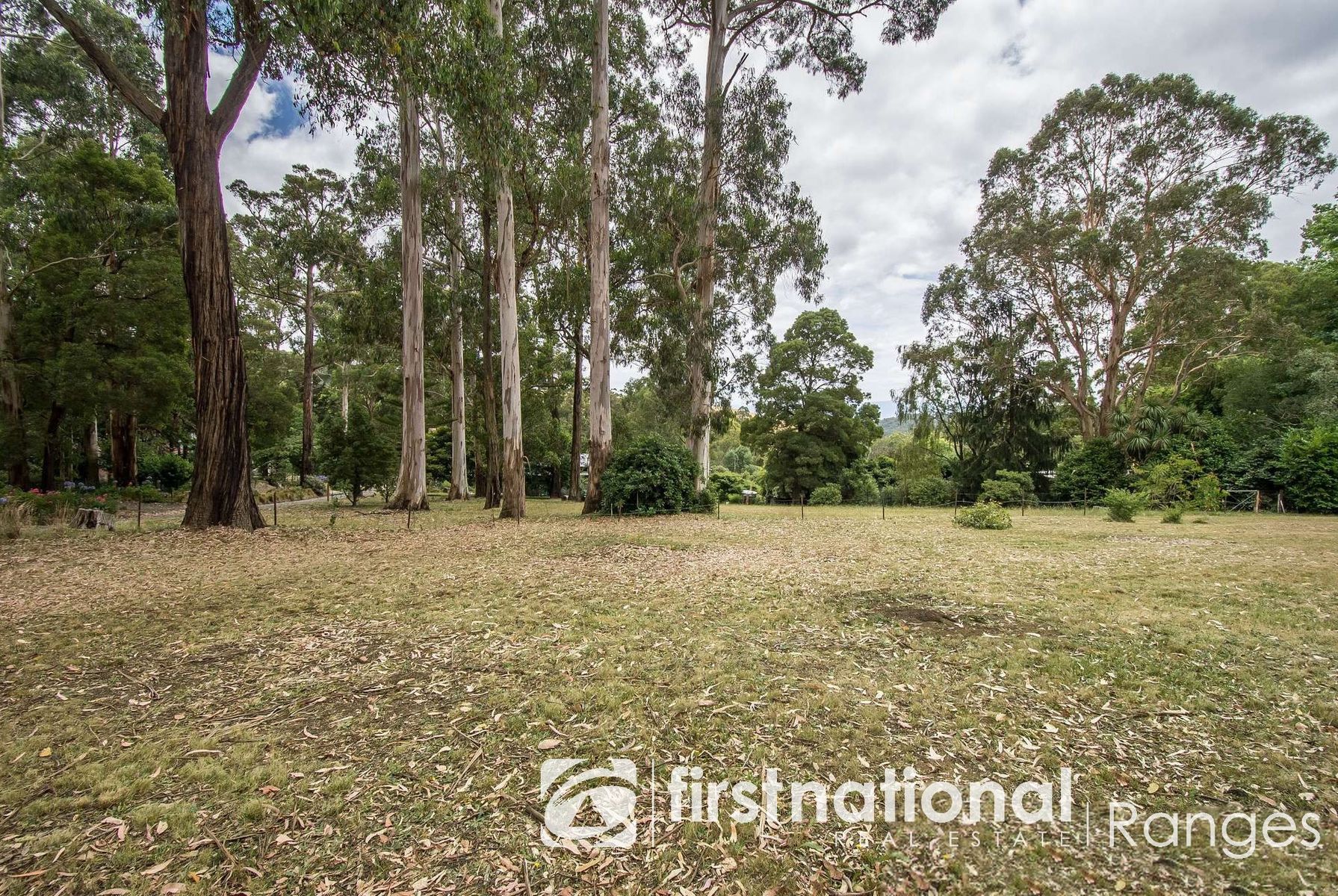 3 Cross Street, Emerald VIC 3782, Emerald - Thumbnail 7