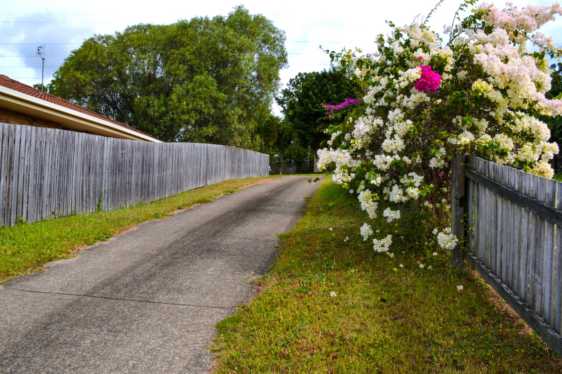 50 Furness Road, Southside - Image 1