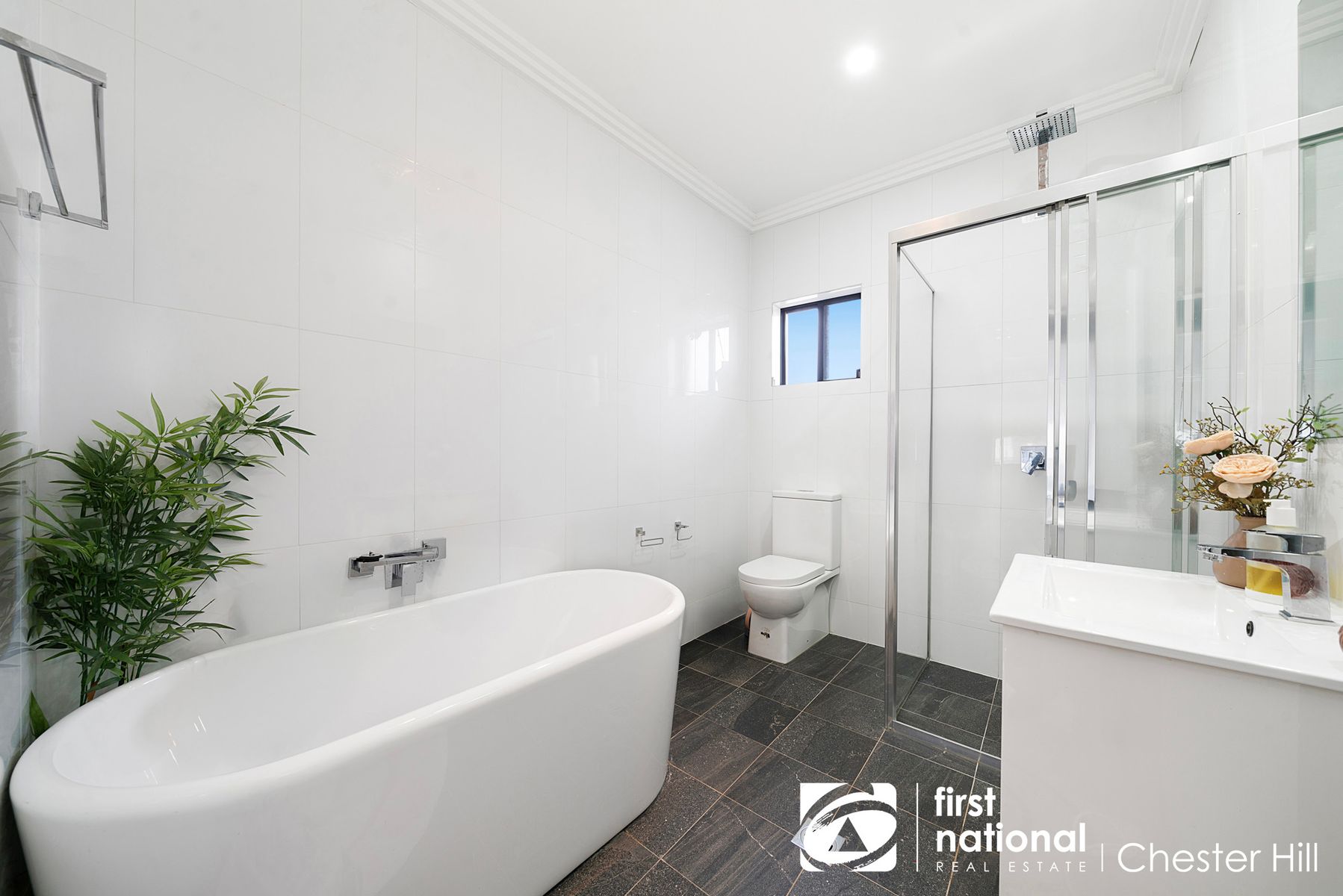 3 Burrows Avenue, Chester Hill NSW 2162, Chester Hill - Thumbnail 4