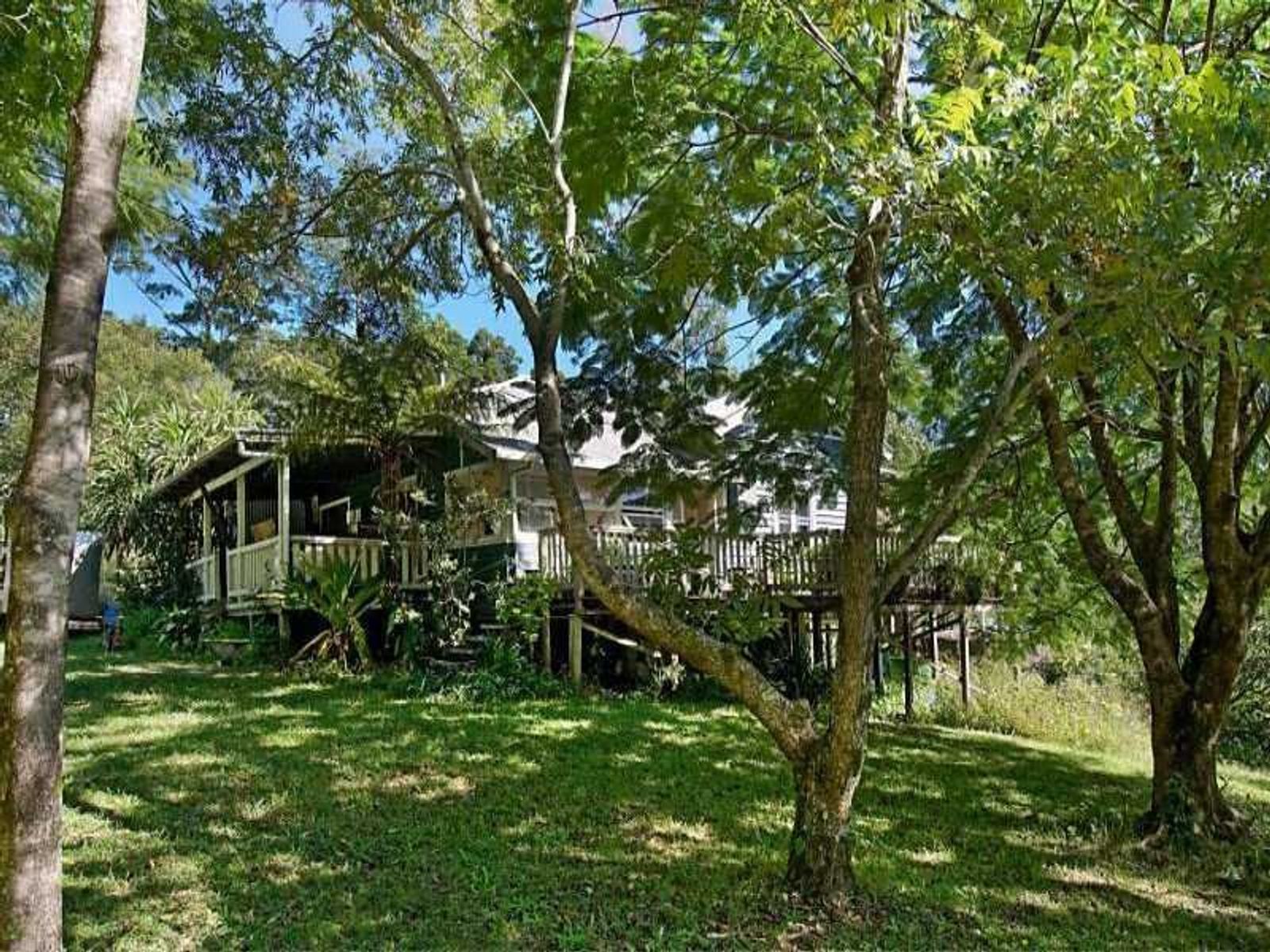 211 Fox Road, Rosebank - Thumbnail 4