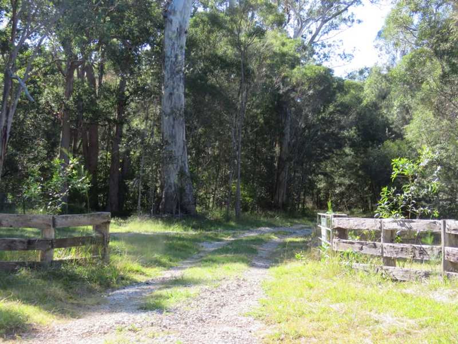 30 Hanna's Road, Gibberagee, NSW 2469, Gibberagee - Thumbnail 4