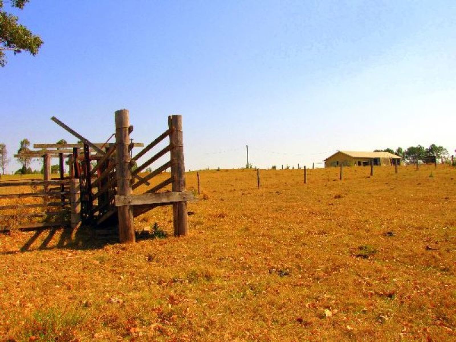 Fairy Hill NSW 2470, Fairy Hill - Thumbnail 5