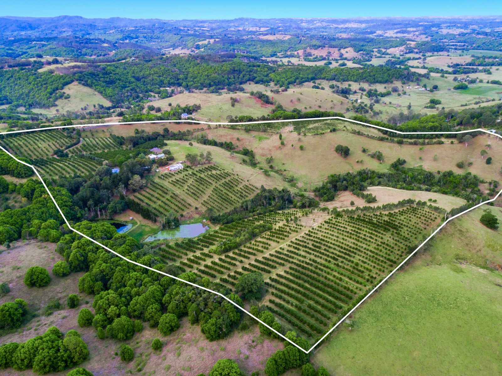 153 Hunters Hill Rd, Numulgi - Thumbnail 6