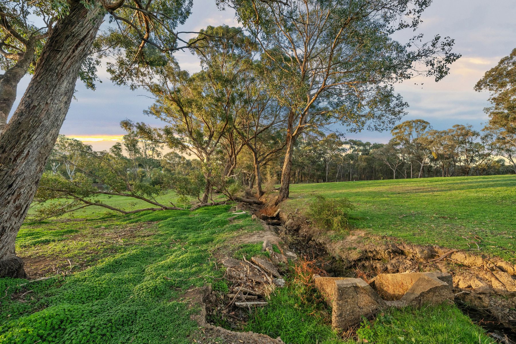 LOT 87/ 403 Mandurang South Road, Mandurang South For Sale by Farmbuy.com - image 3