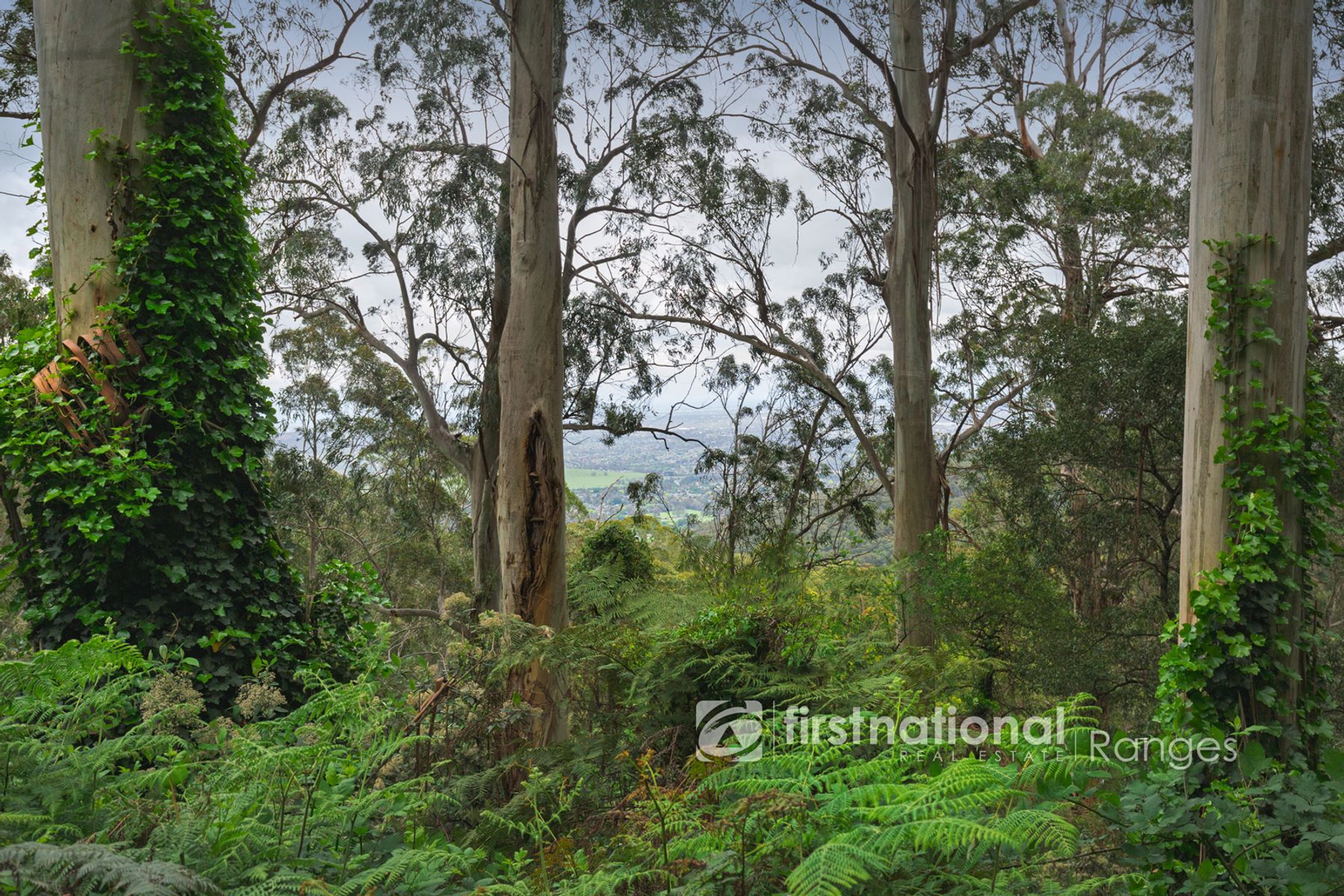 10 Titania Crescent, Tremont VIC 3785, Tremont - Thumbnail 5