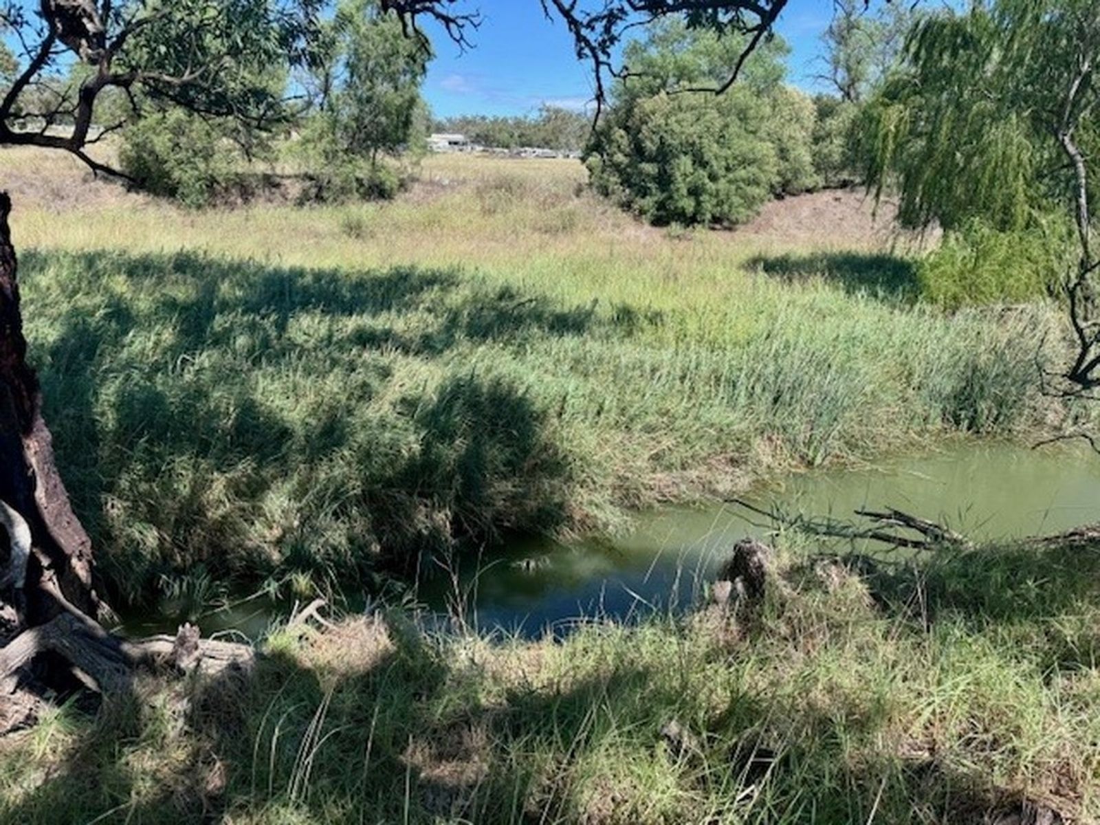 660 Warral Road, Tamworth NSW 2340, Warral - Thumbnail 3