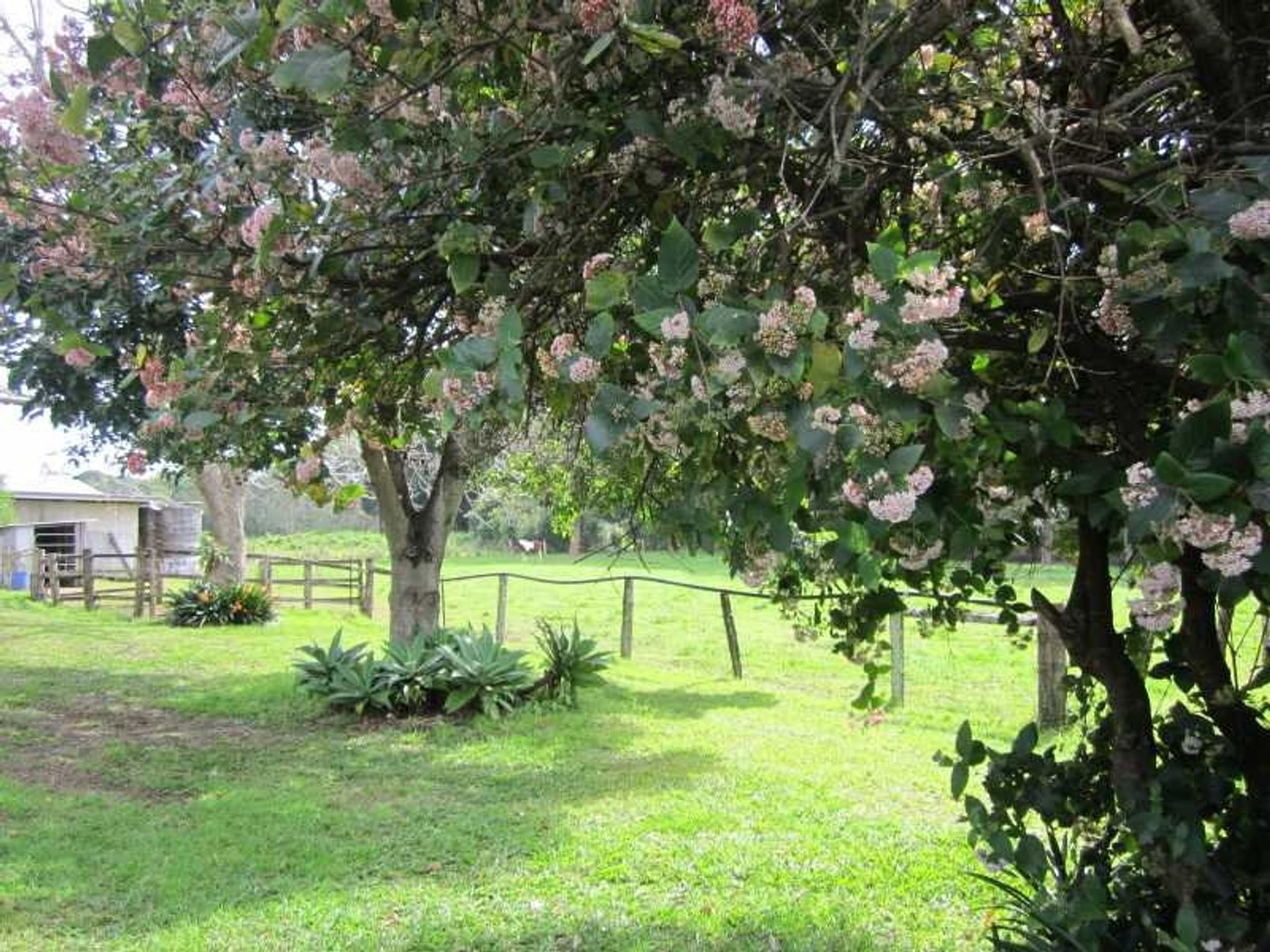 208 Fernleigh Road, Fernleigh - Thumbnail 6