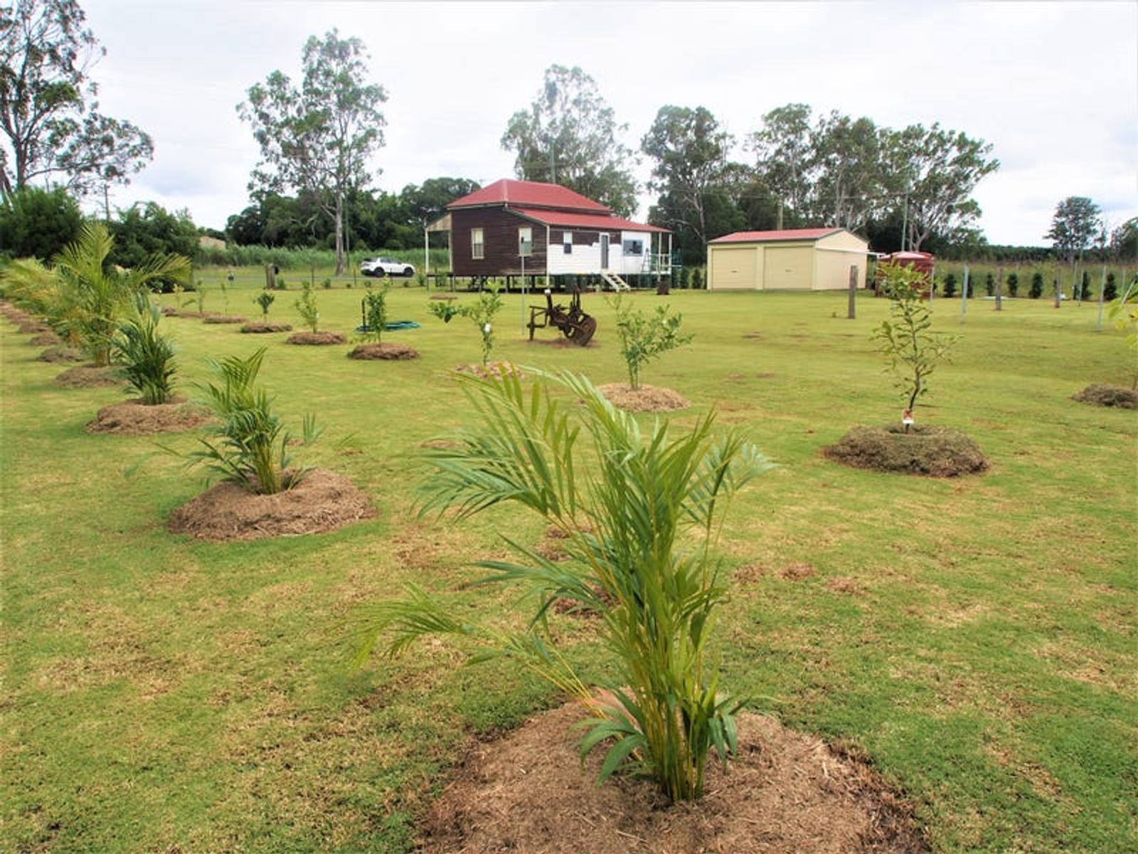 124 Station Road, Horton QLD 4660, Horton - Thumbnail 4