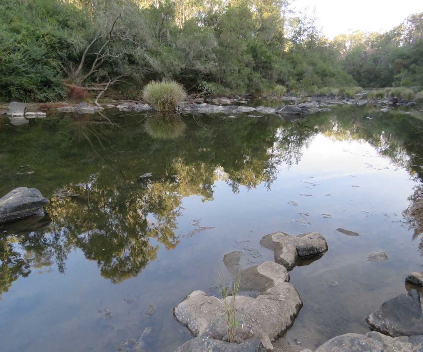 4471 Paddys Flat Road, Tooloom, NSW 2475, Upper Tooloom - Thumbnail 6